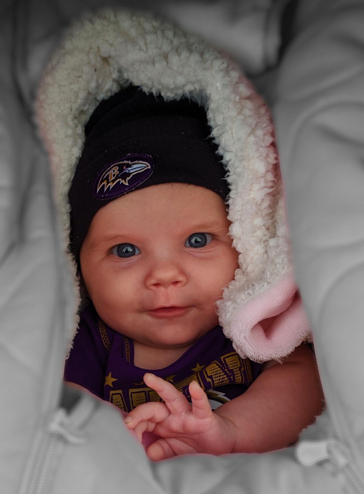 Little Ravens fan | Scrolller