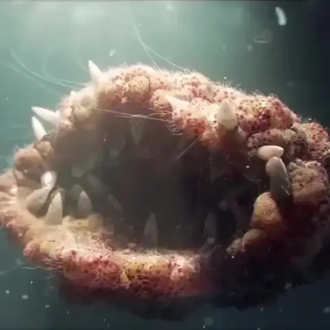 Looks cozy...