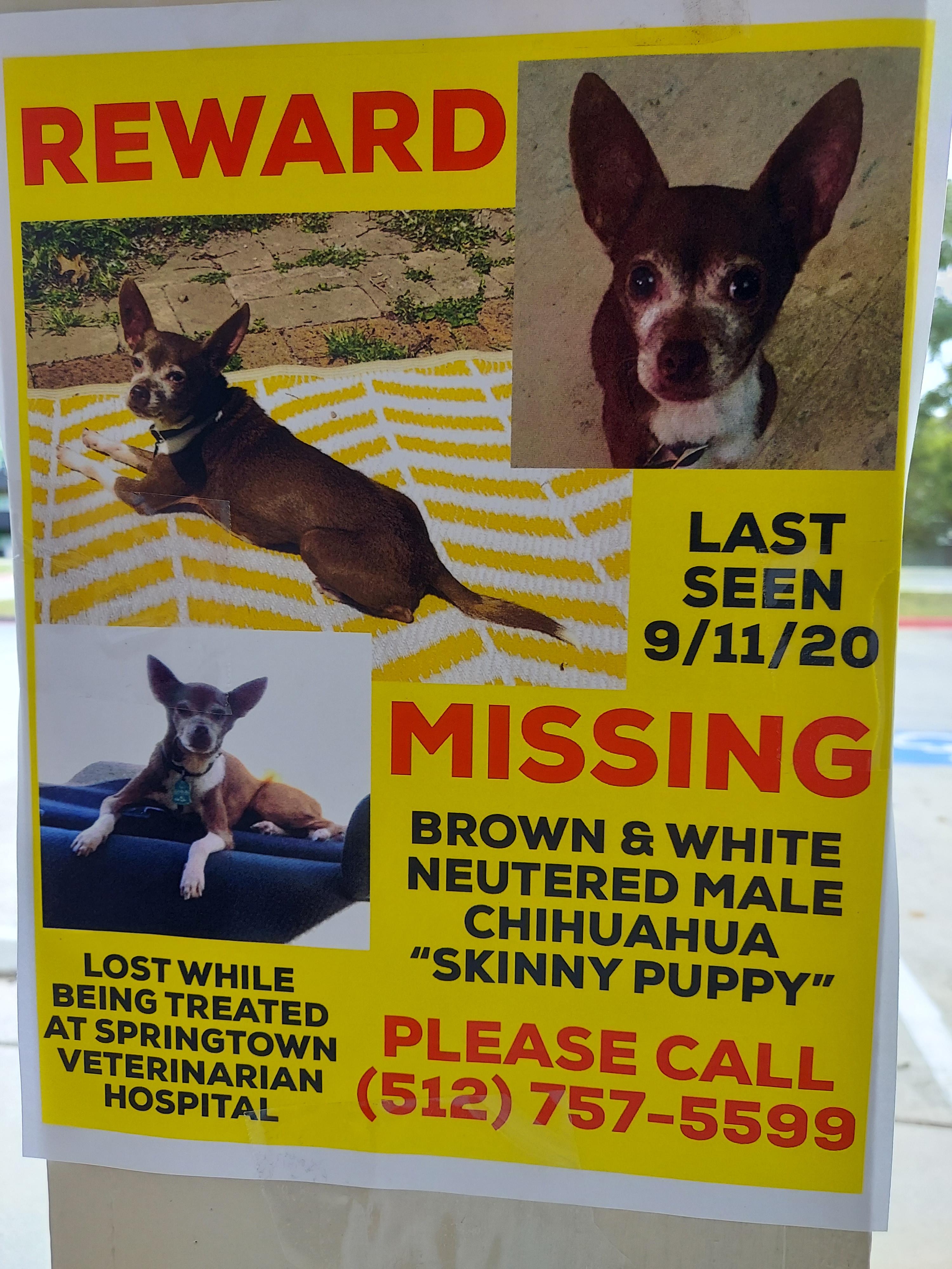 Lost dog poster at my apartment complex. Figured I'd share here