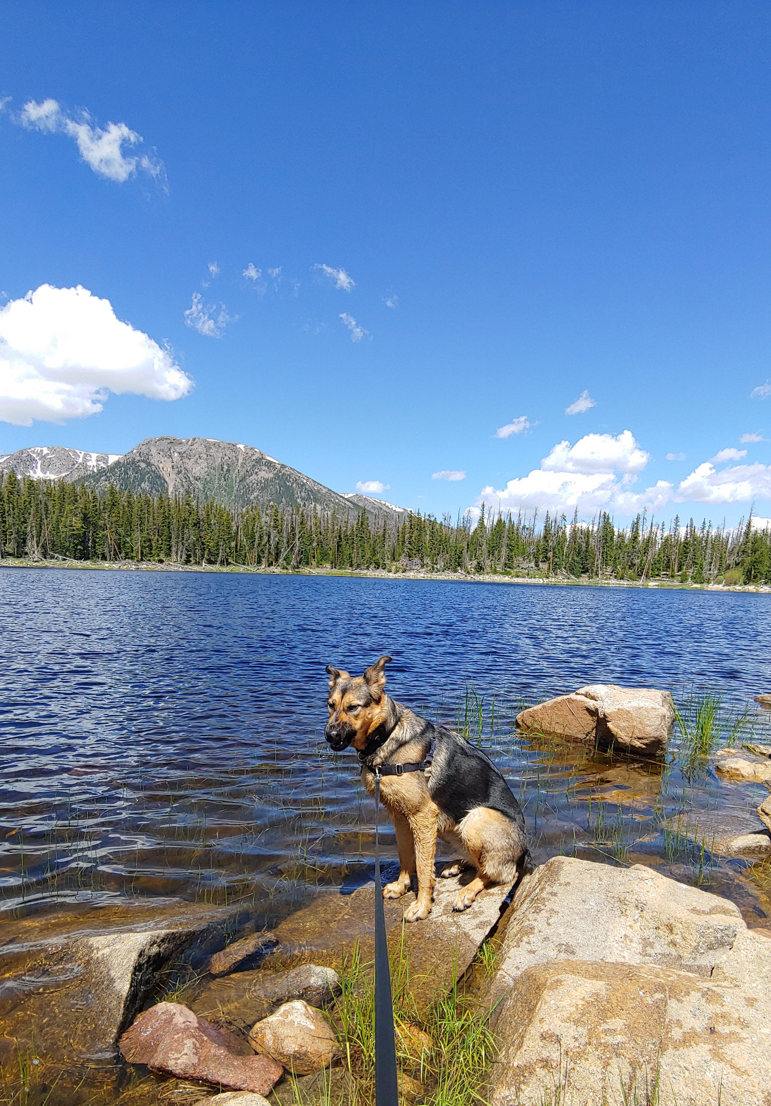 lunch-break-in-white-river-national-forest-she-dropped-her-jerky-in