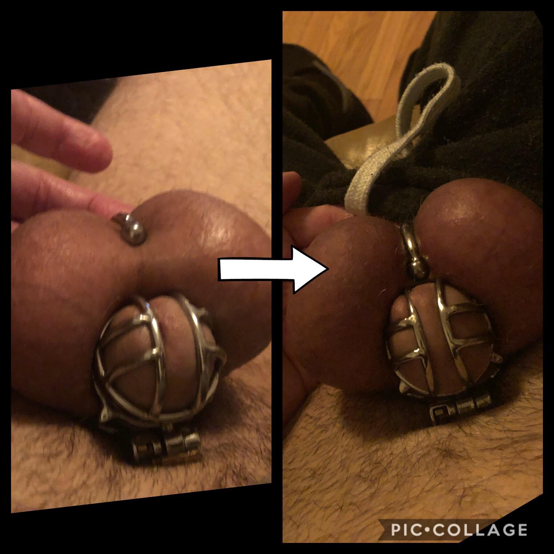 Chastity Case