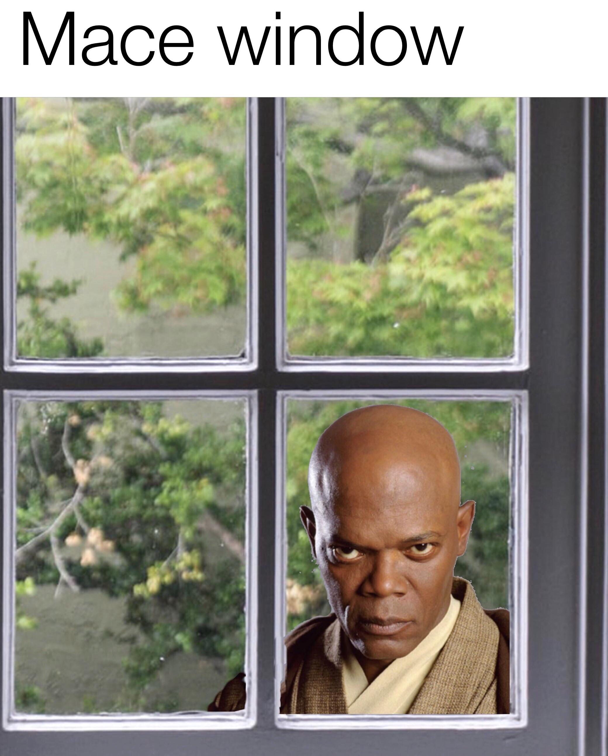 Mace windu looking through a mace window Scrolller