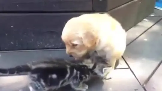 making new friends