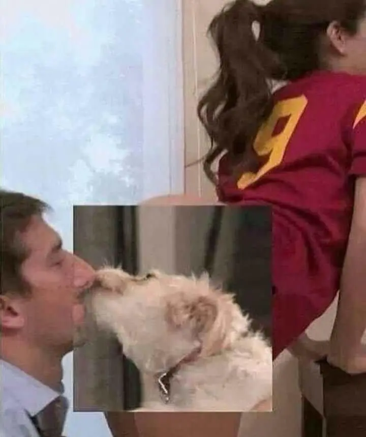 Man’s Best Friend