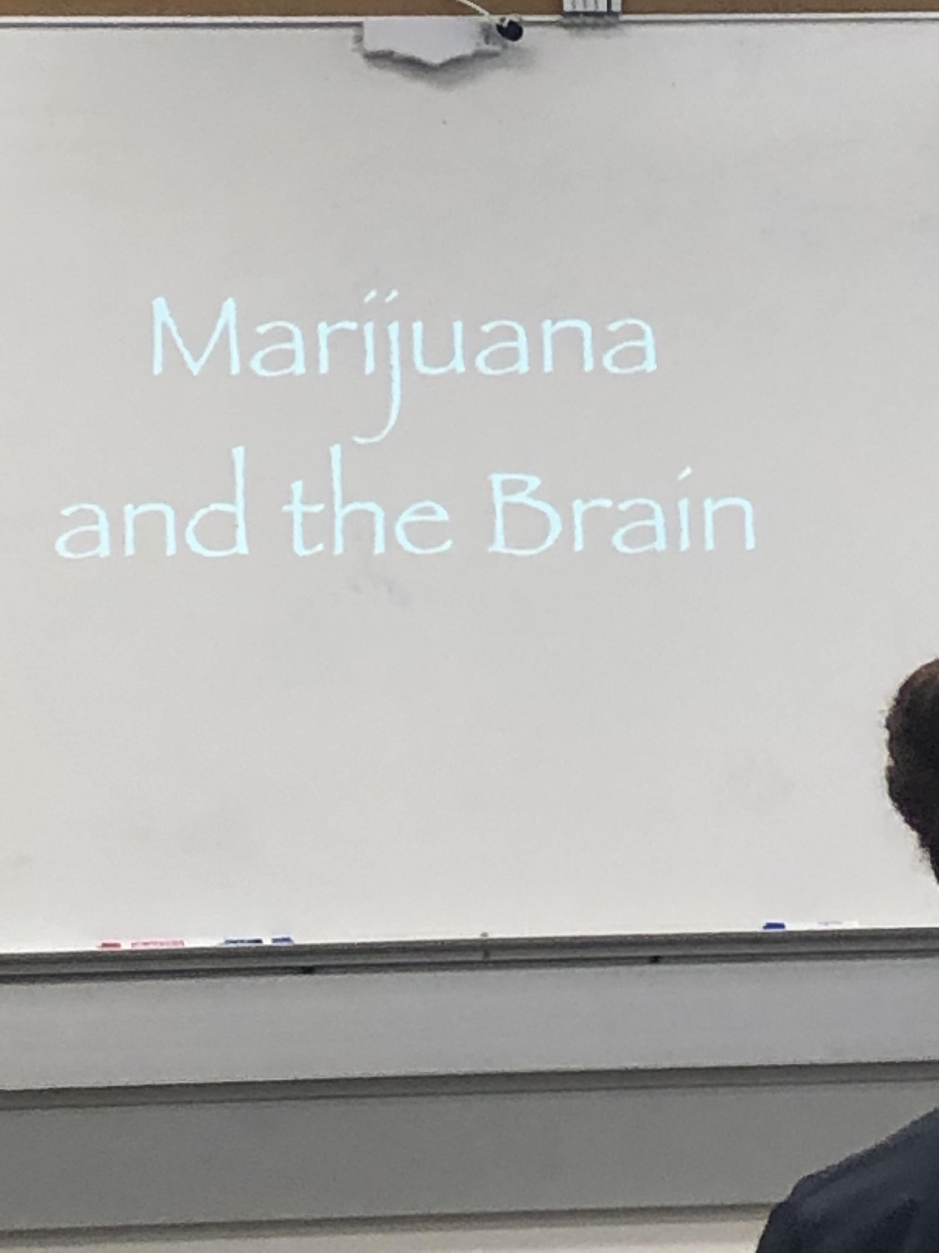 Marijuana And The Brain | Scrolller