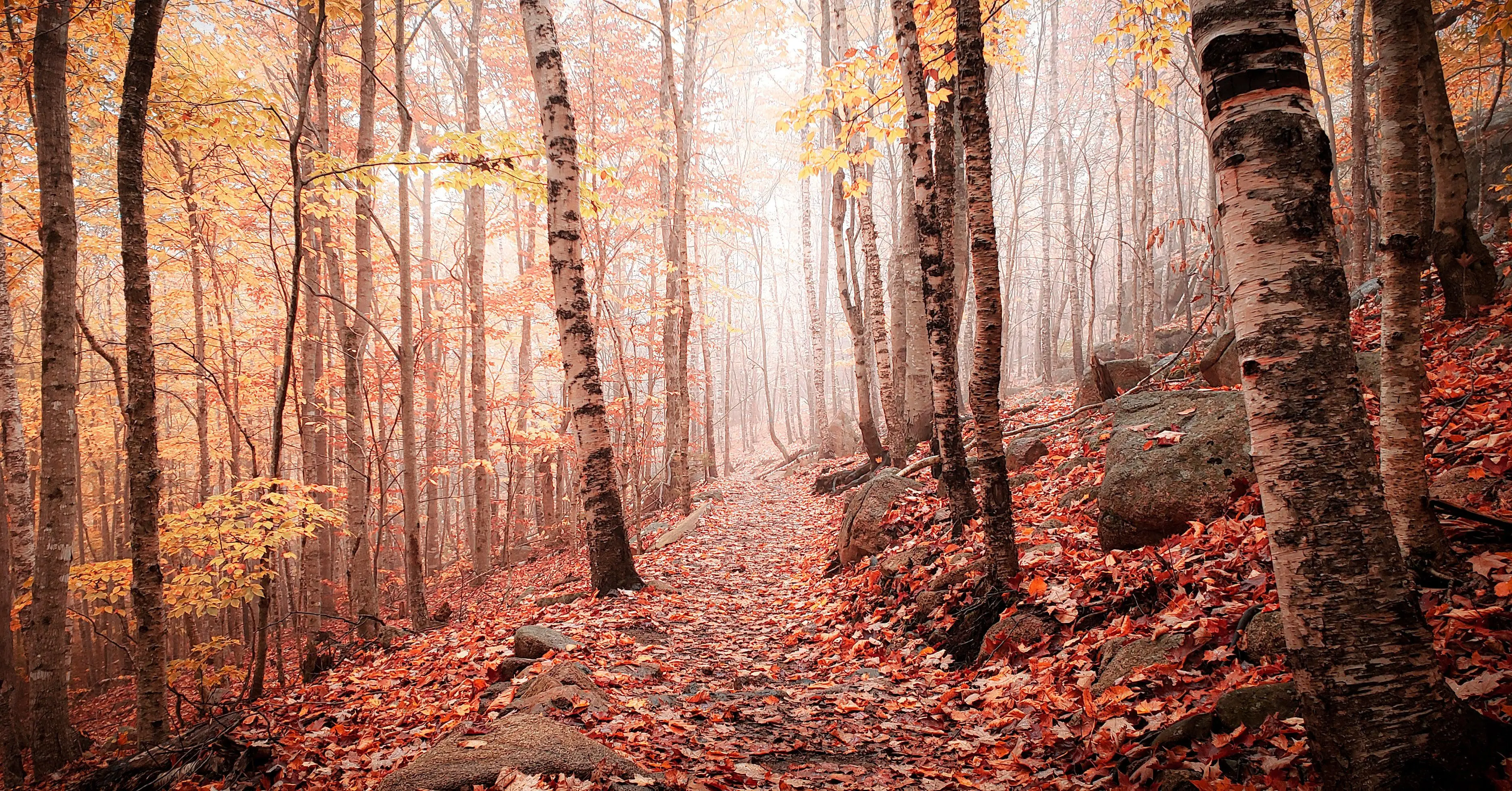 Mount Magic Island - The Beehive Trail, Acadia National Park [OC ...