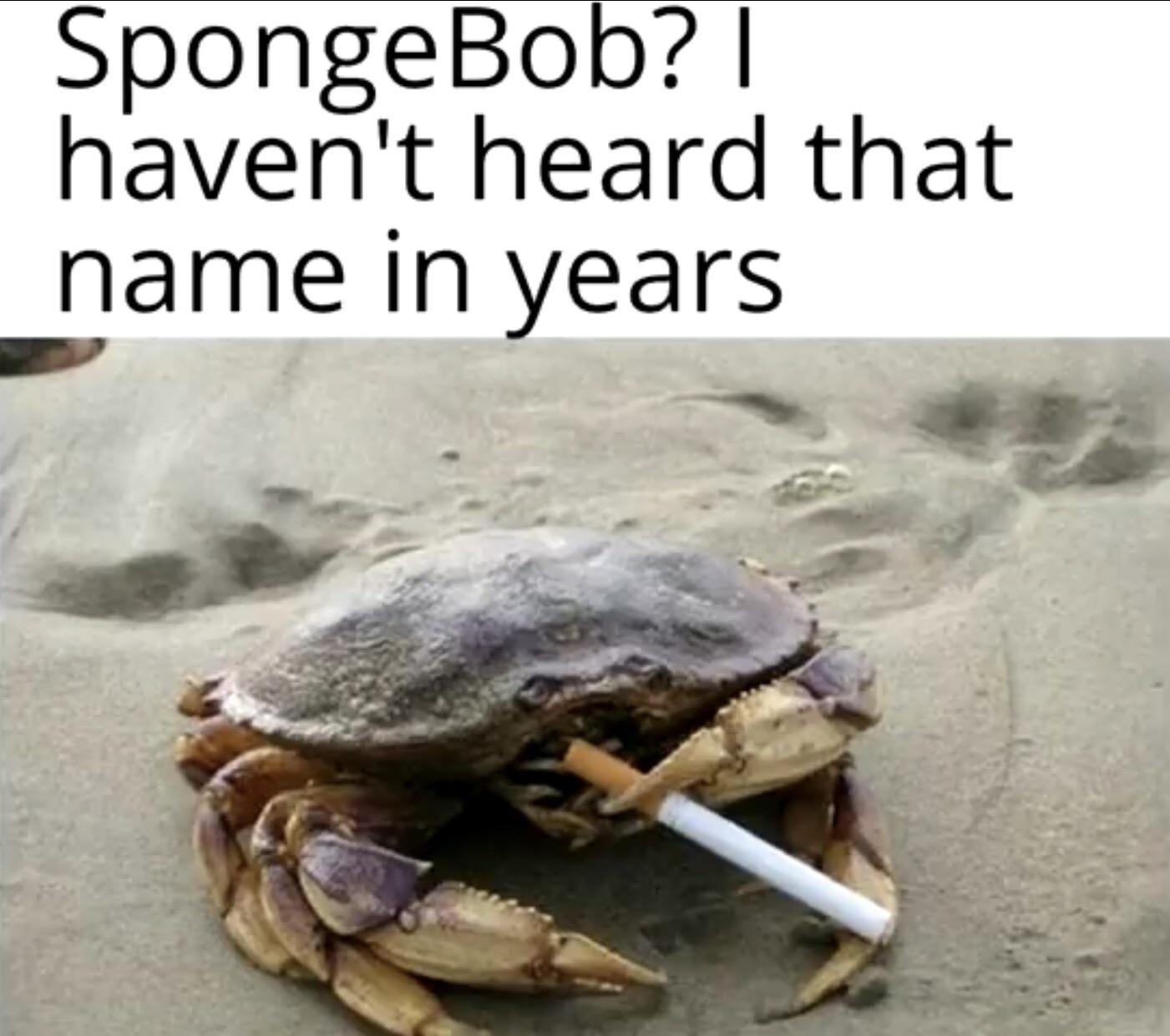 Mr krabs... nah. Mr ket | Scrolller