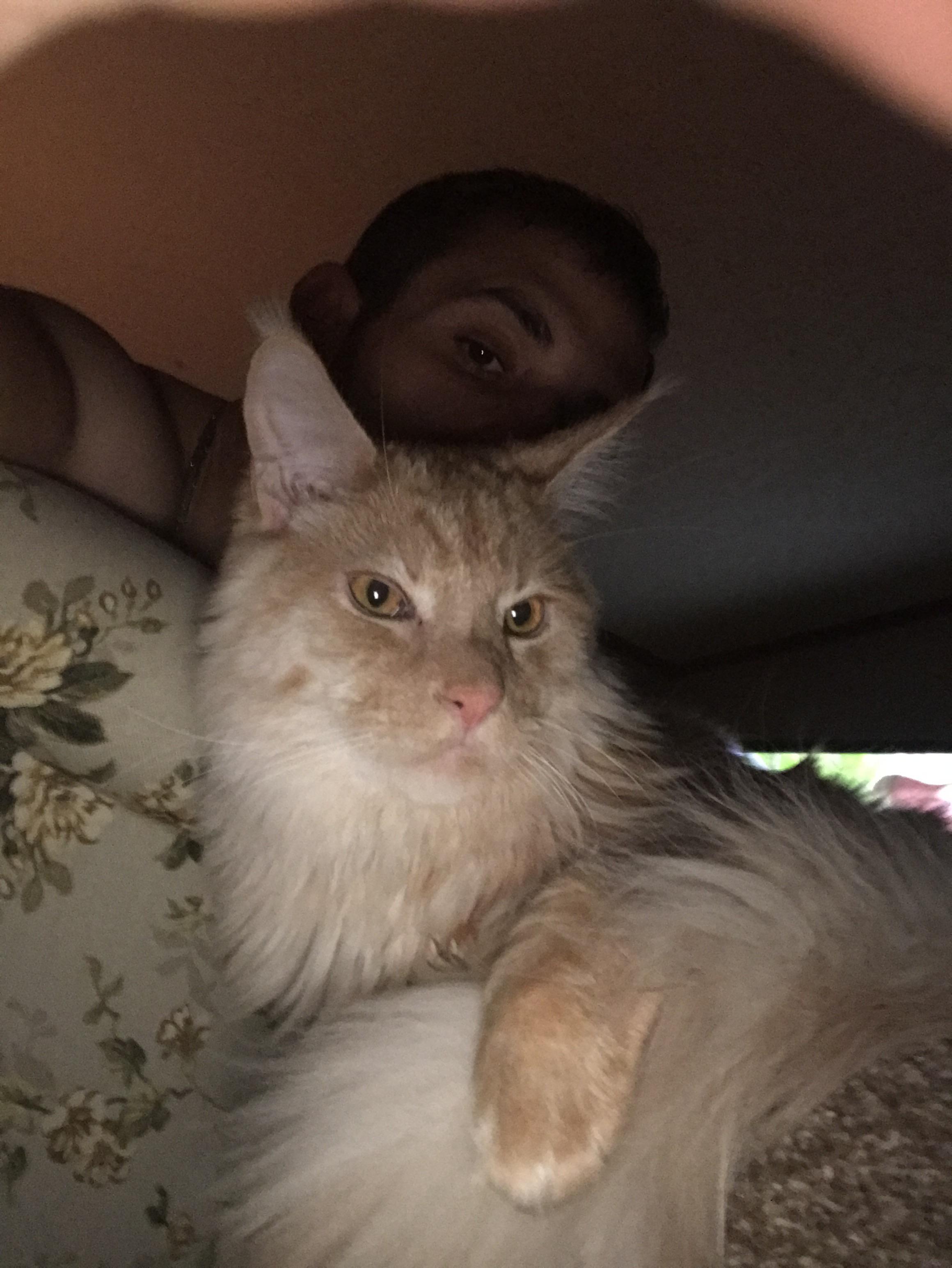 My son loaf! | Scrolller