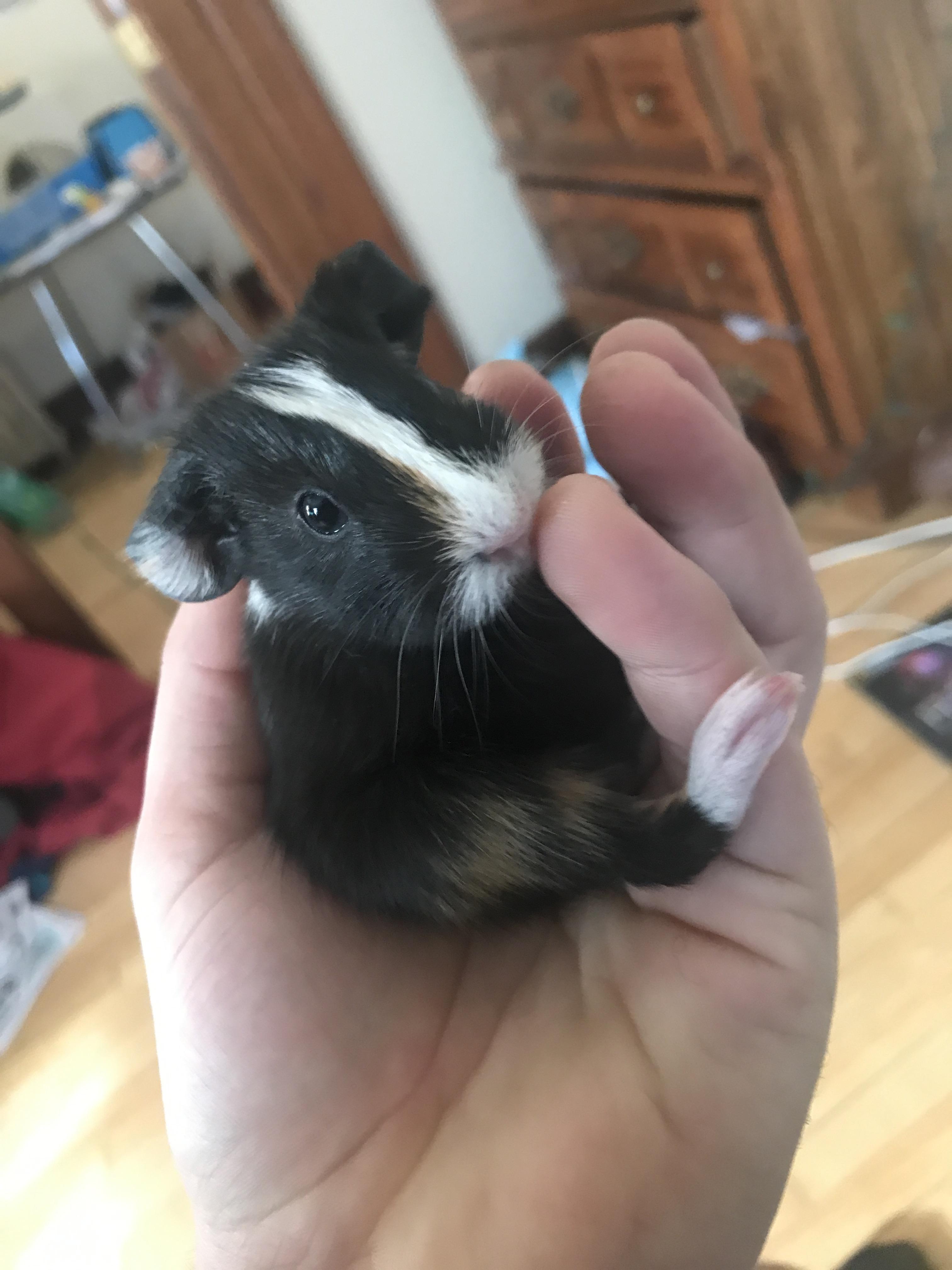 New baby alert! | Scrolller