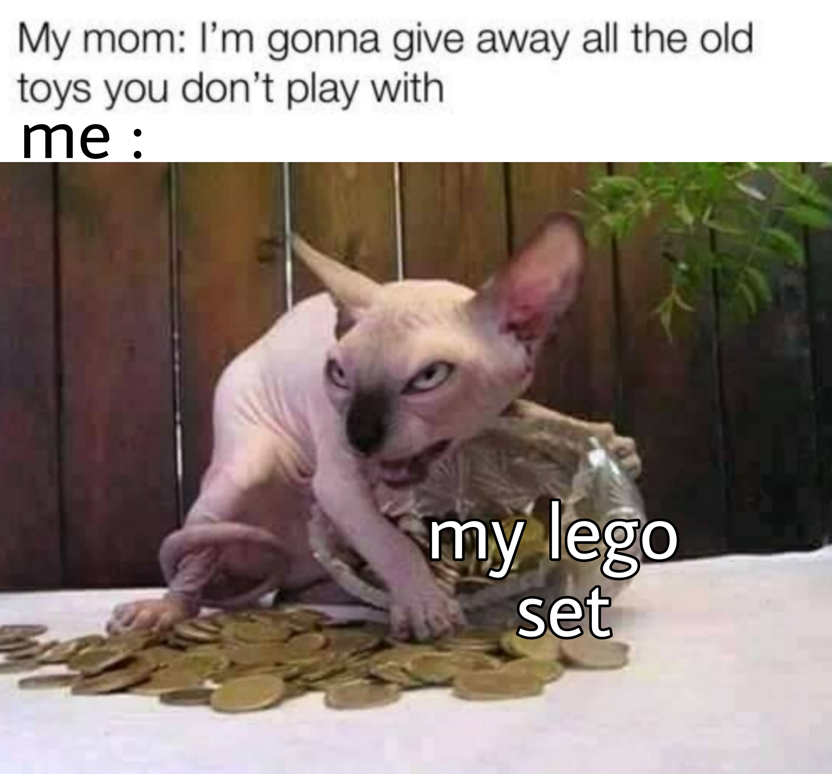 no you won't Scrolller