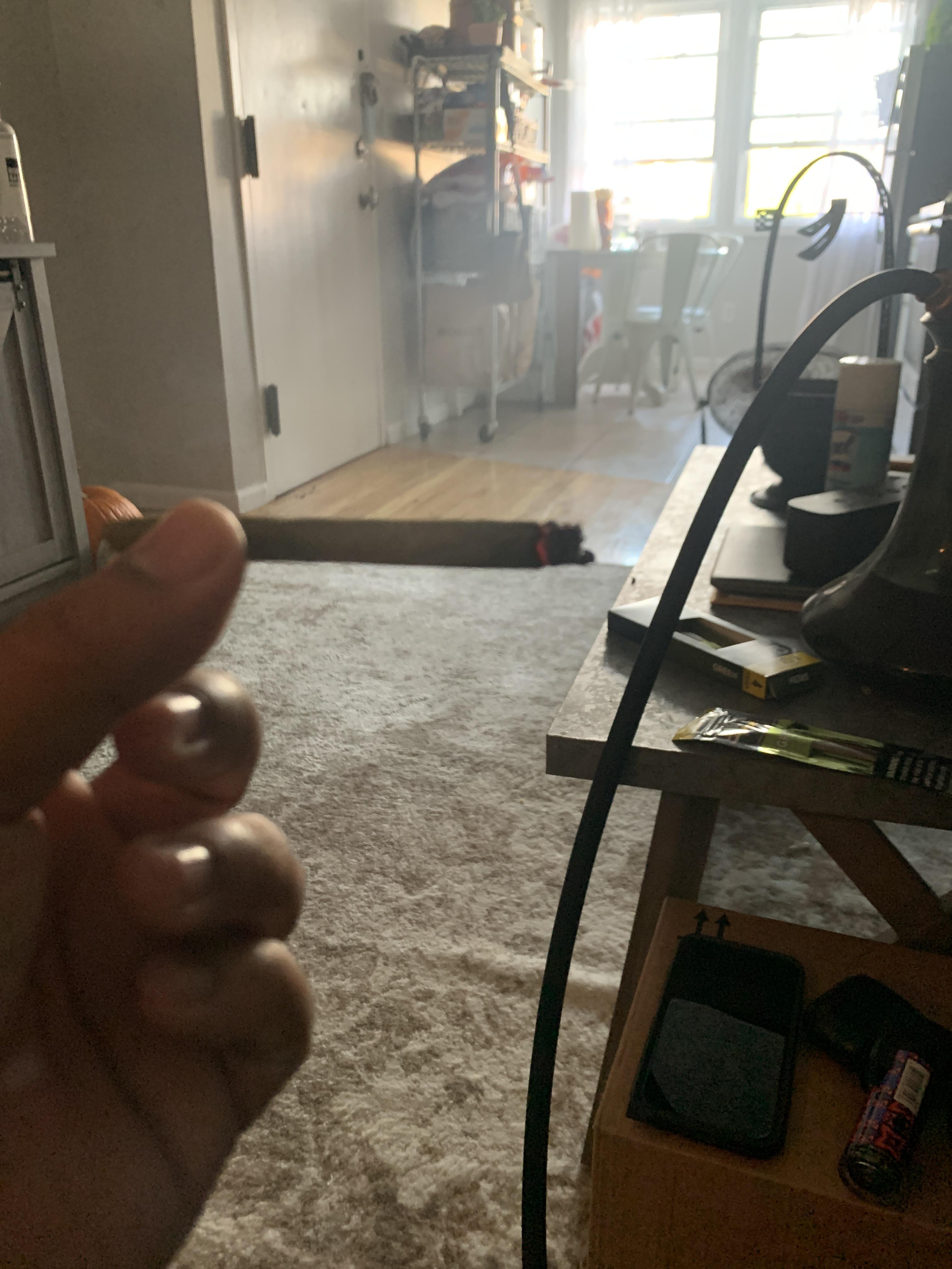 One Spliff A Day Keep The Evil Away One spliff aday Keep The evil away! | Scrolller