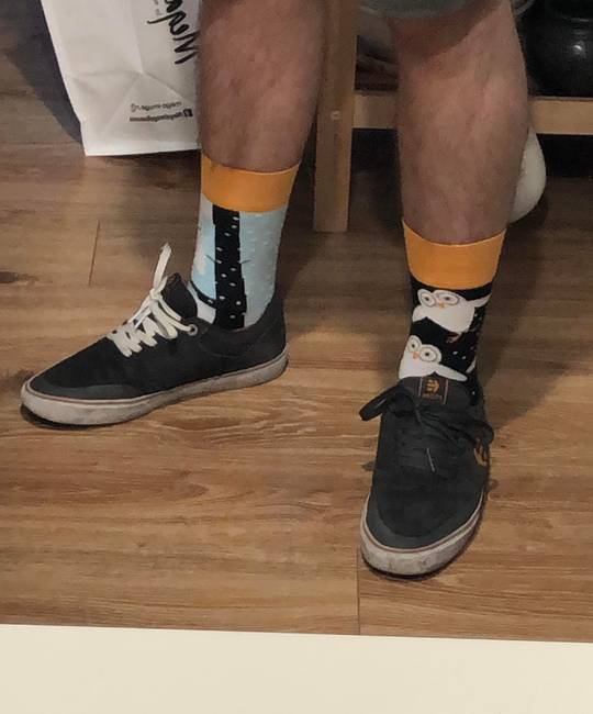 owl socks!