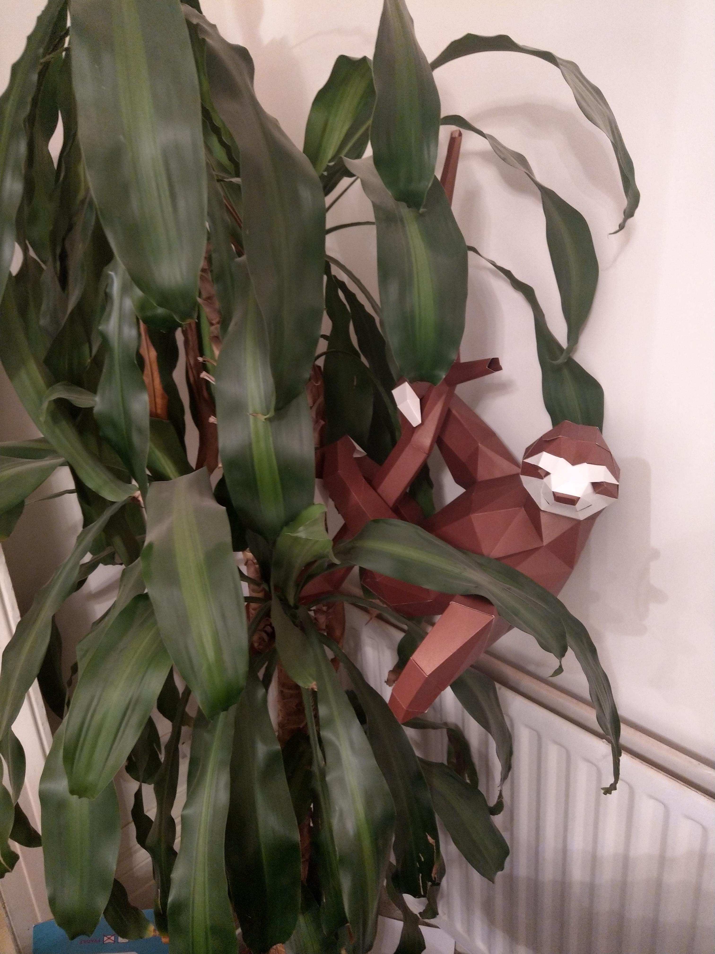 Build A Sloth Paper build-a-sloth I got for my birthday is made and chilling in the ...