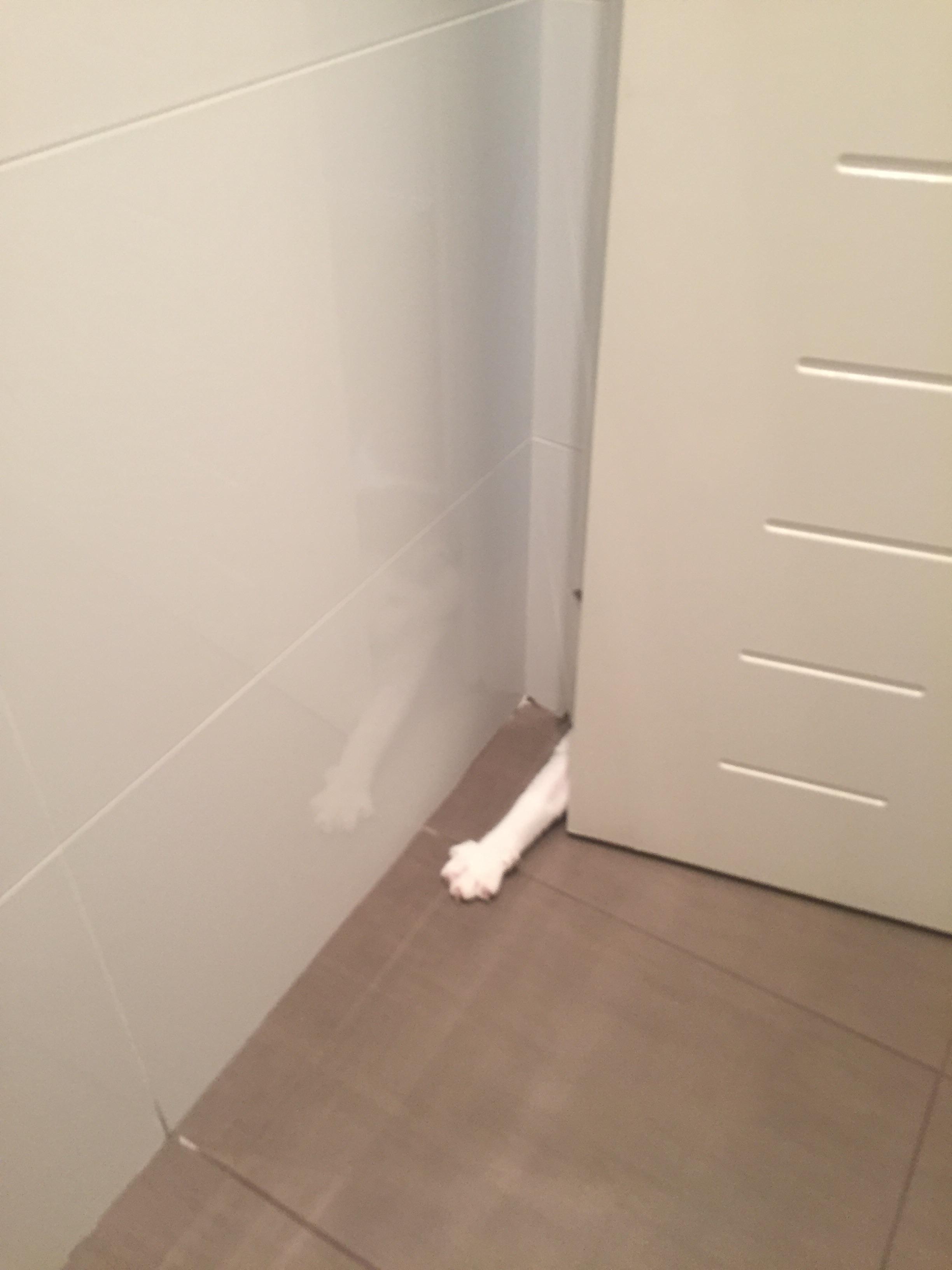 Peeing alone is not allowed | Scrolller