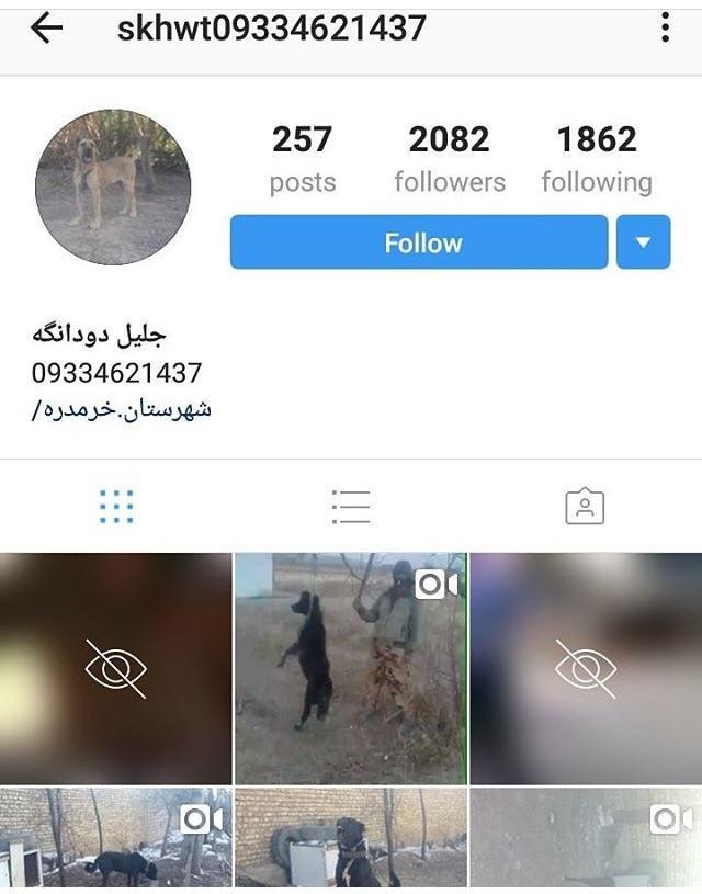 PLEASE SPREAD THE WORD THIS ACCOUNT ON INSTAGRAM HAS BEEN POSTING VERY  GRAPHIC VIDEOS OF ANIMAL ABUSE PLEASE HELP SPREAD THE WORD AND TAKE IT DOWN  ALL HELP IS APPRECIATED | Scrolller