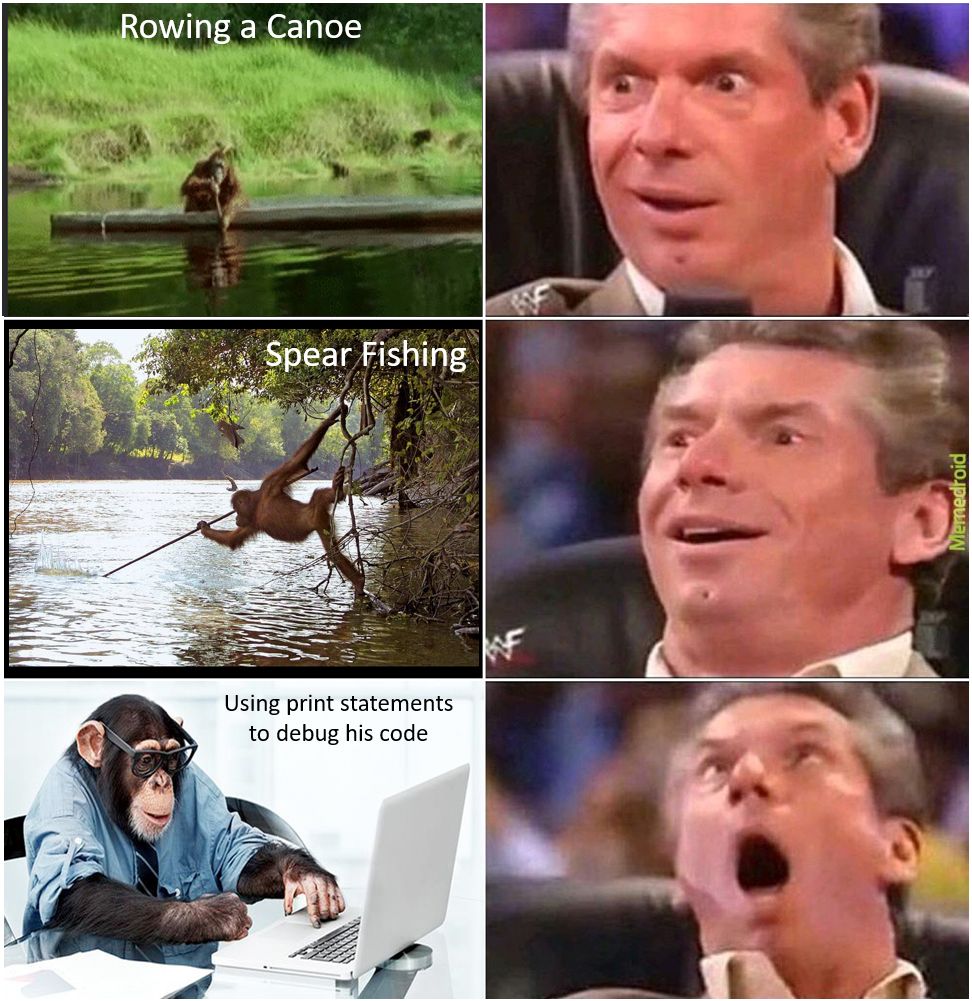 Primates using simple tools | Scrolller