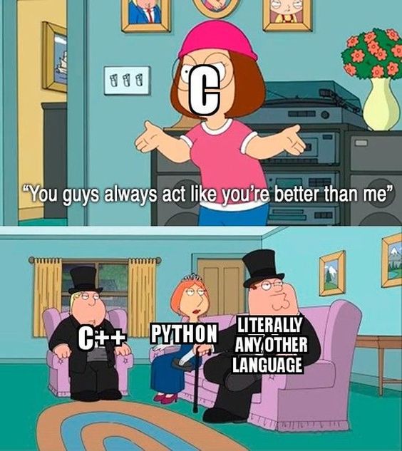 Programming Meme | Scrolller