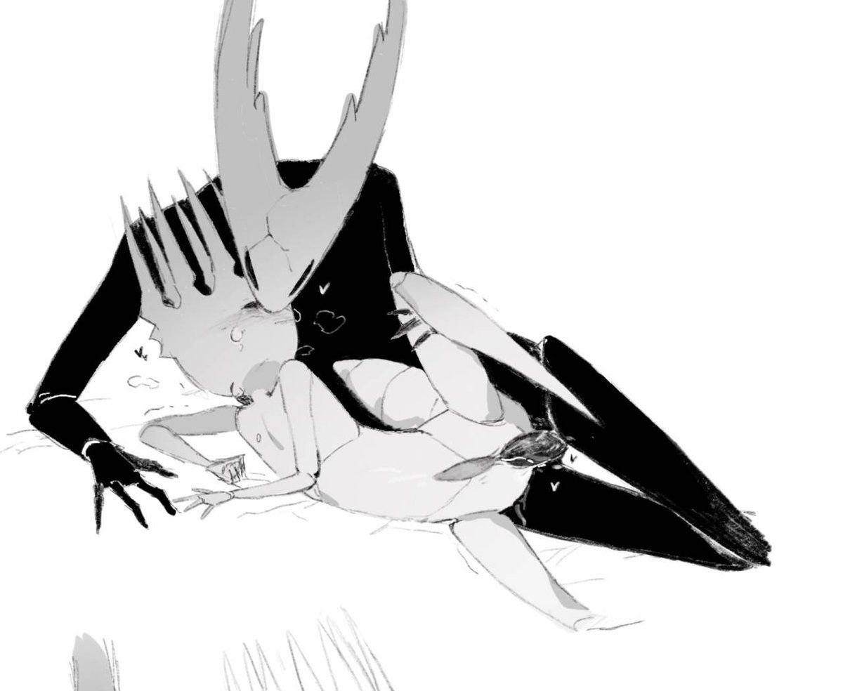 Pure Vessel Pleasing the Pale King.