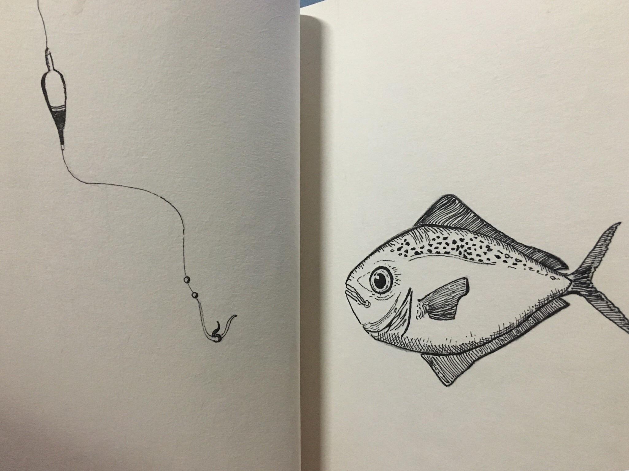 Quick sketch of a boring fish. | Scrolller