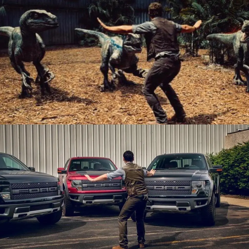 Trained Raptors Raptors being trained | Scrolller