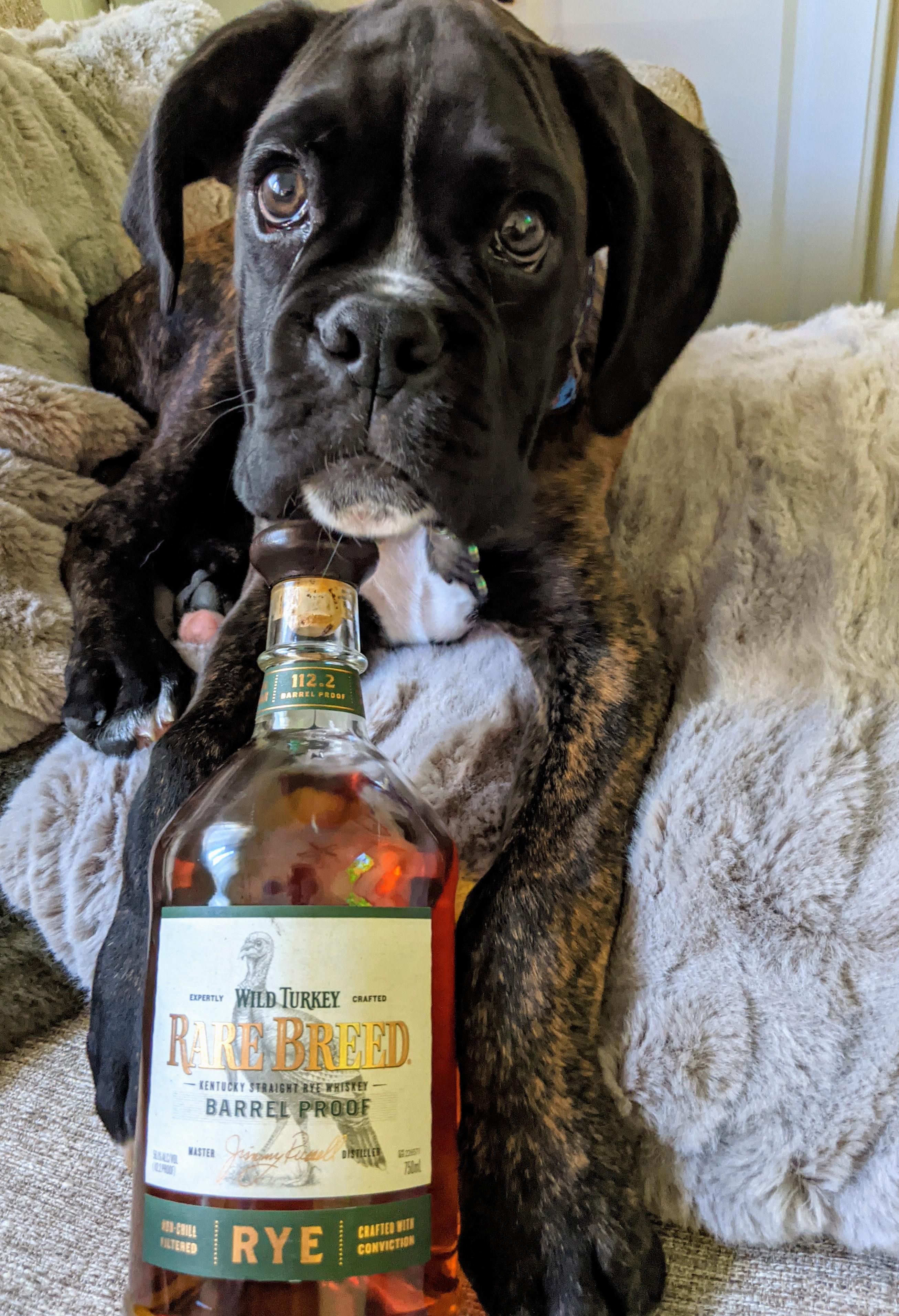 Review #11 - Wild Turkey Rare Breed Rye | Scrolller