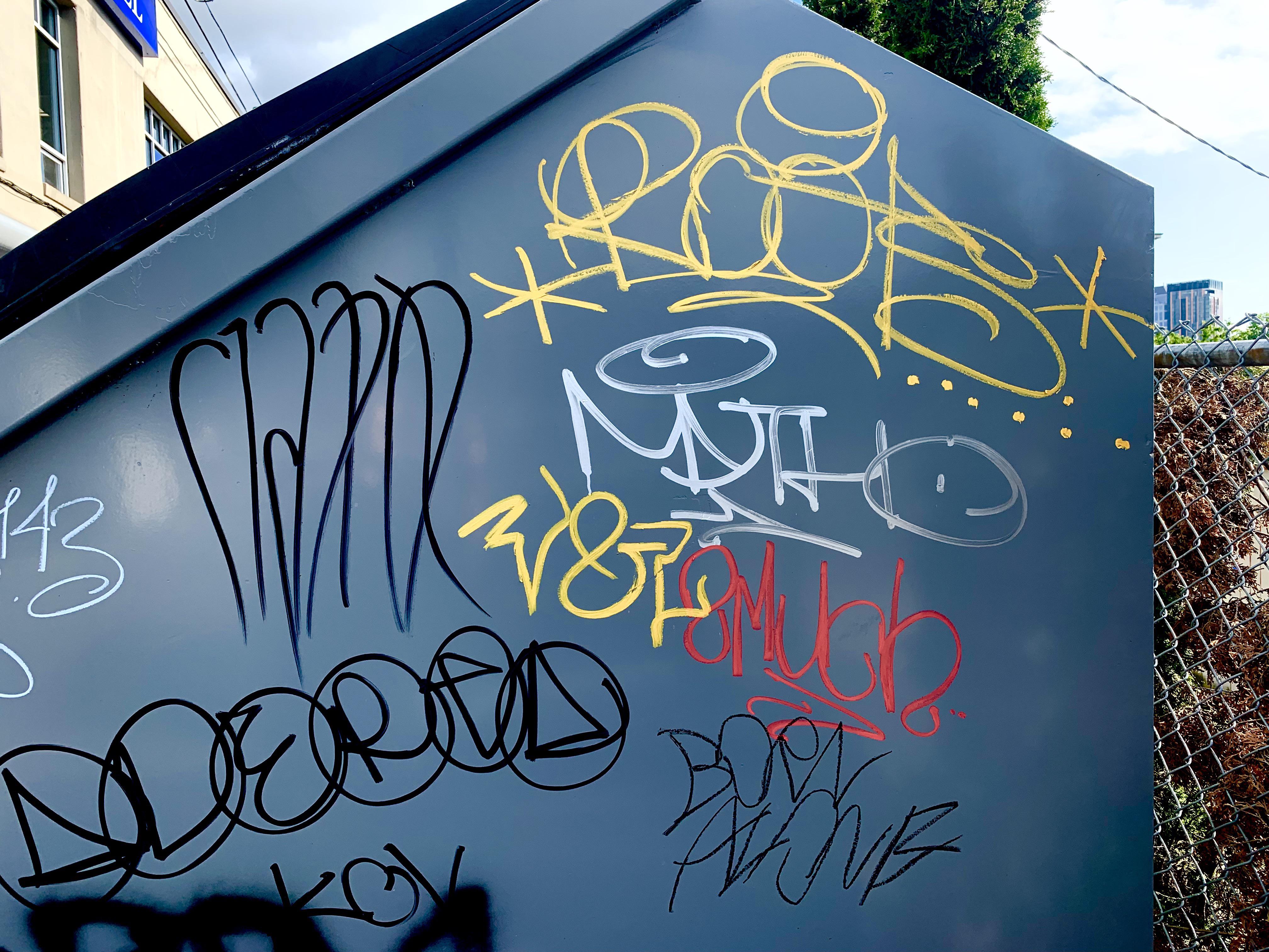 ROOTS Seattle | Scrolller