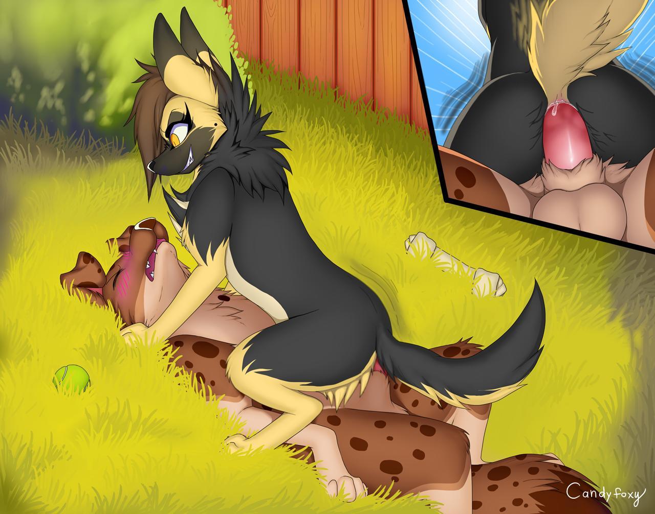 Rough Riding MF (Candyfoxy) Scrolller 