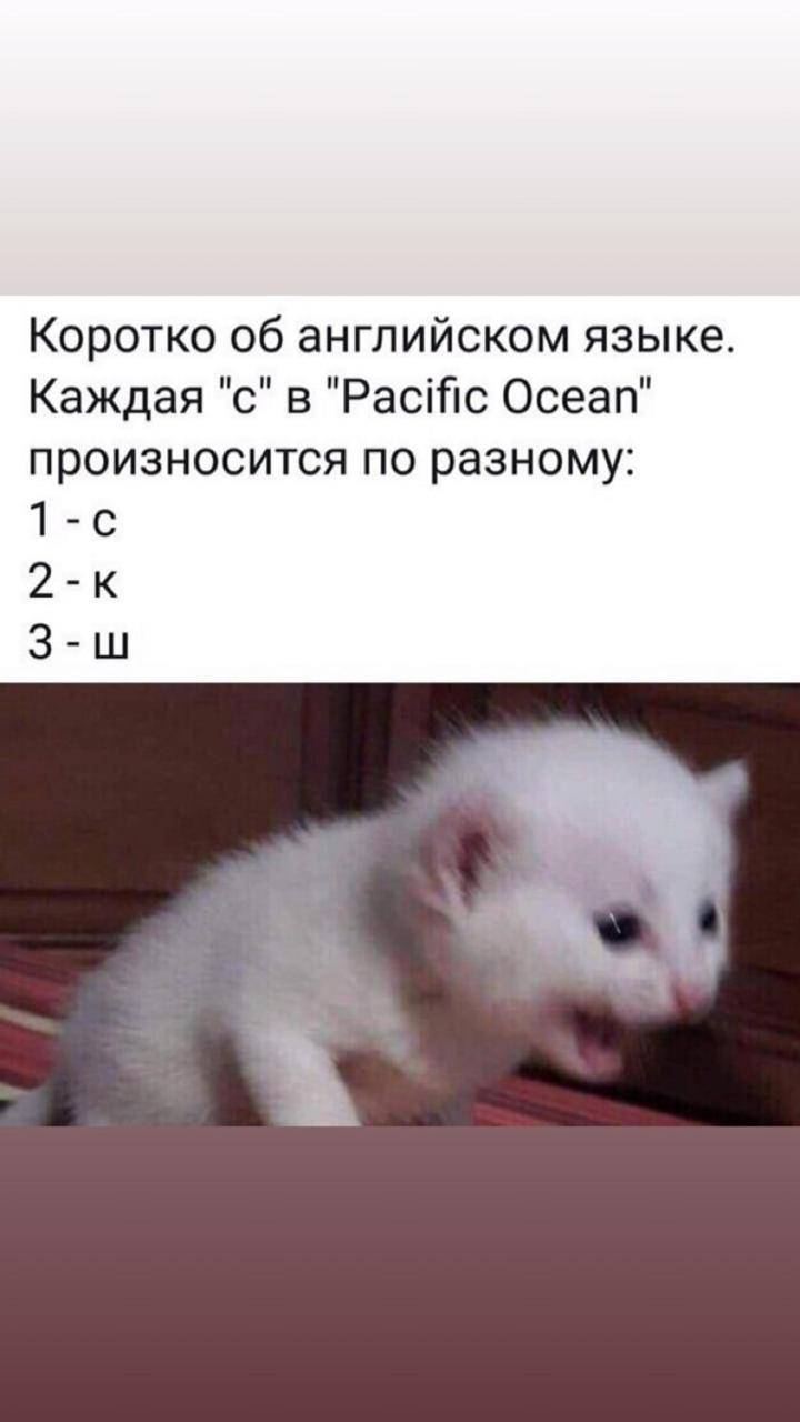 WHY DOES RUSSIAN SOUND LIKE ENGLISH visual data 4