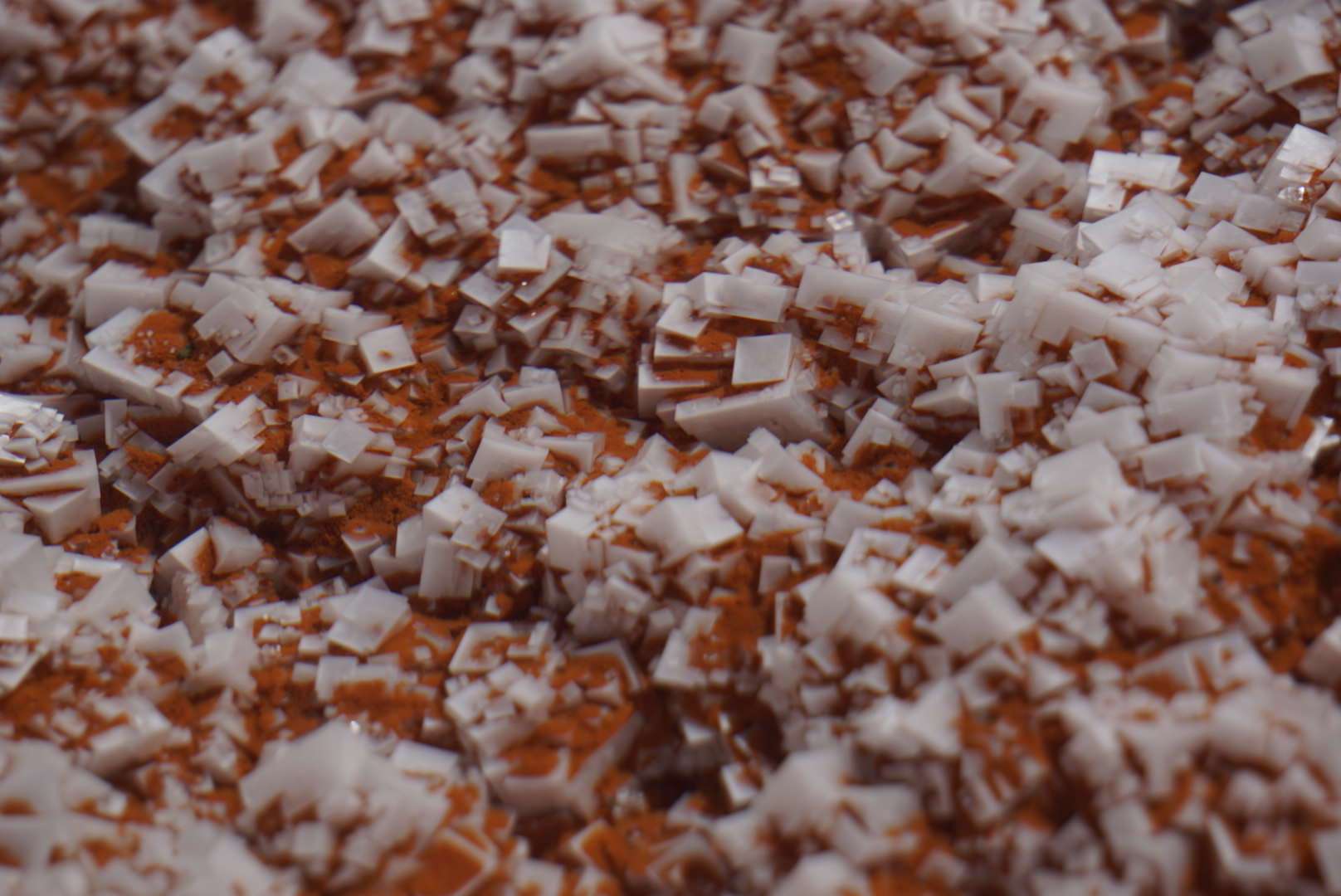 Wa Salt Salt crystals growing in shallow pool near salt flats, WA, Australia ...