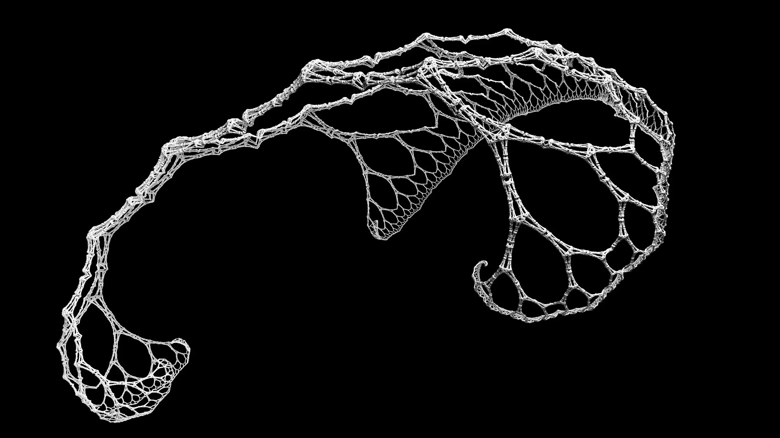 Skeleton[2560x1440][OC] | Scrolller