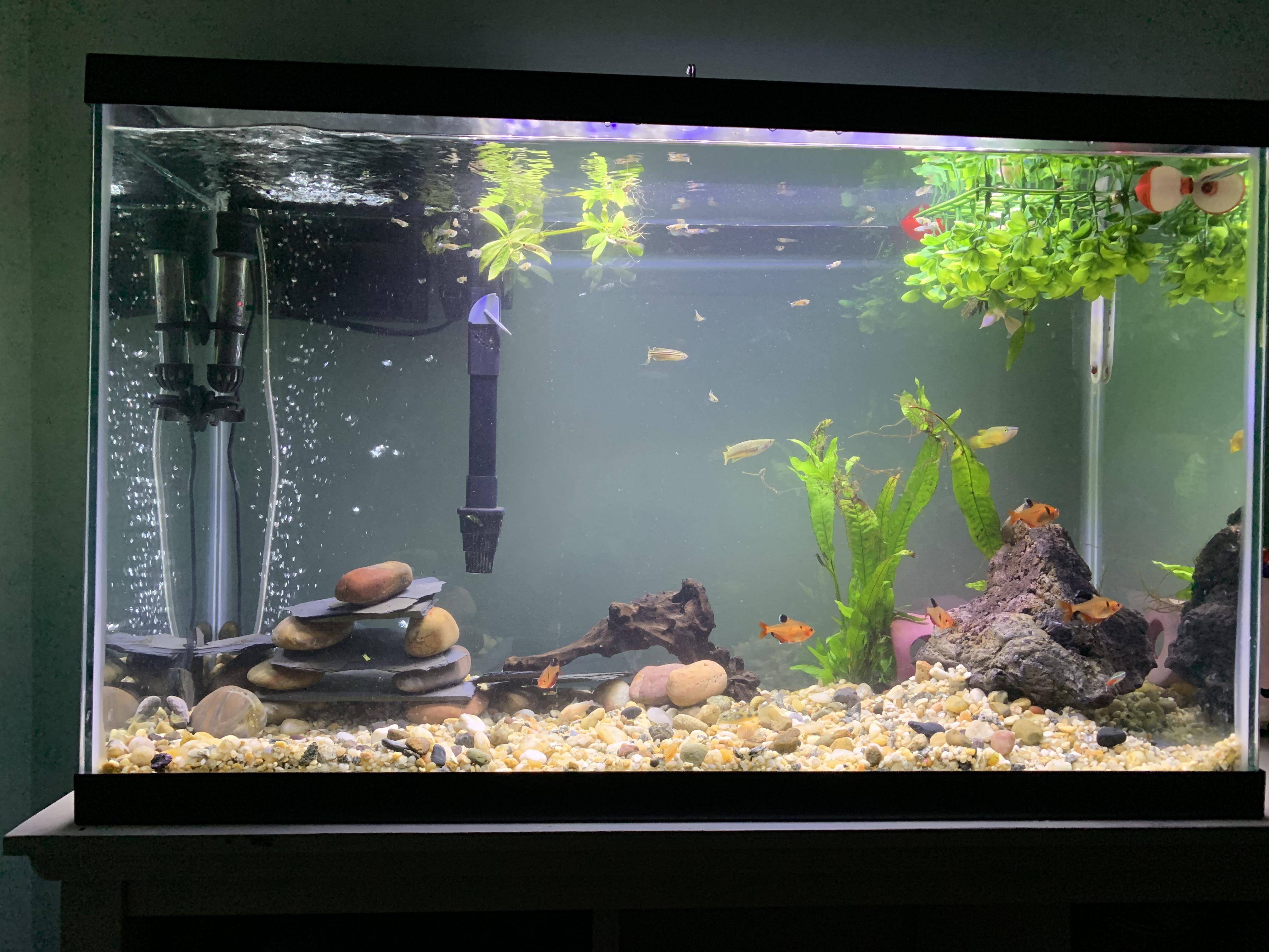 Slow And Steady A Work In Progress Scrolller