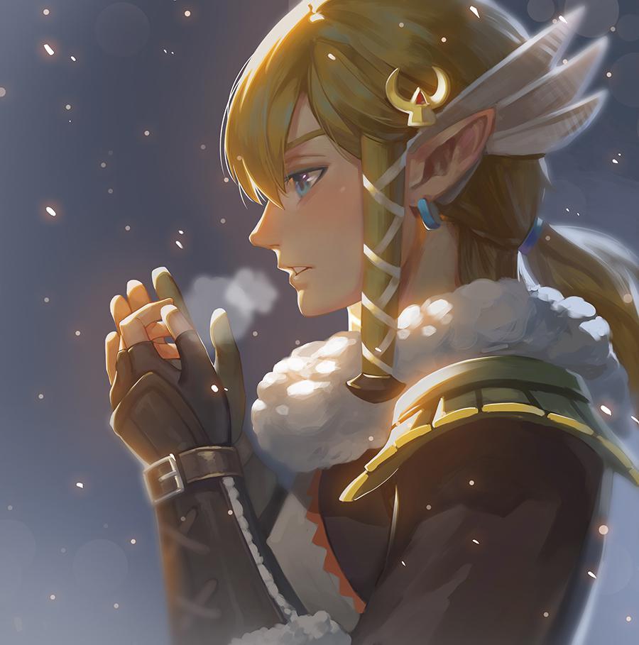 Zelda308