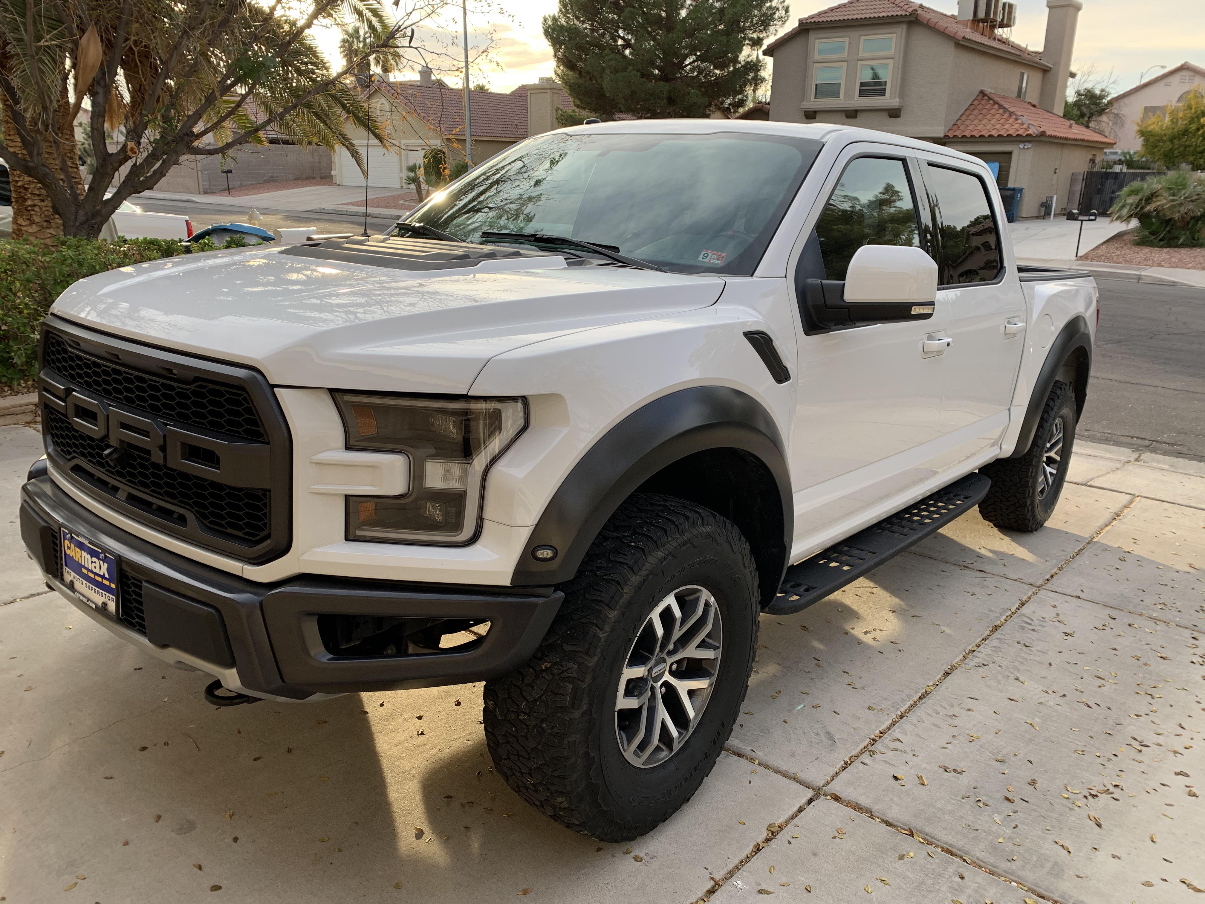 Someone tried to sell me a fake raptor so here’s my new girl. She’s all ...