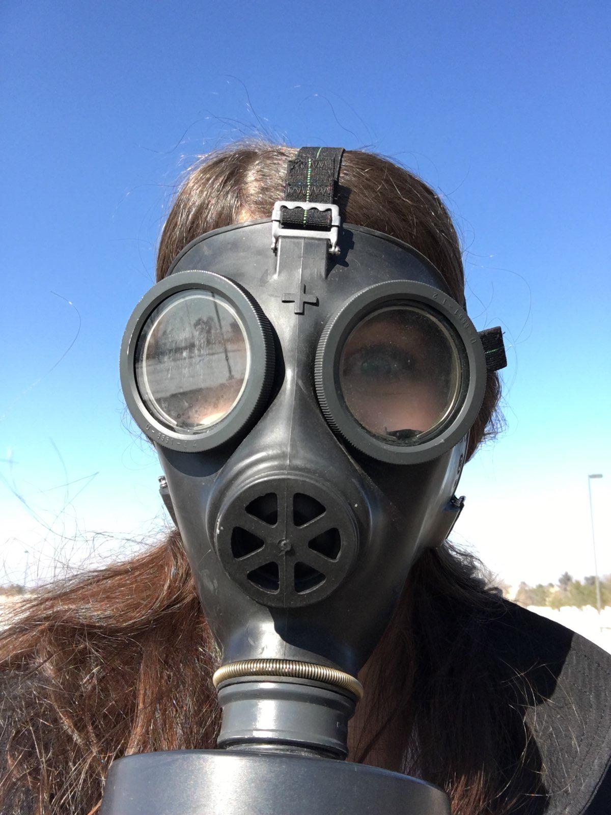 Swiss SM-74 is a really competent mask. Seals well to the various face ...