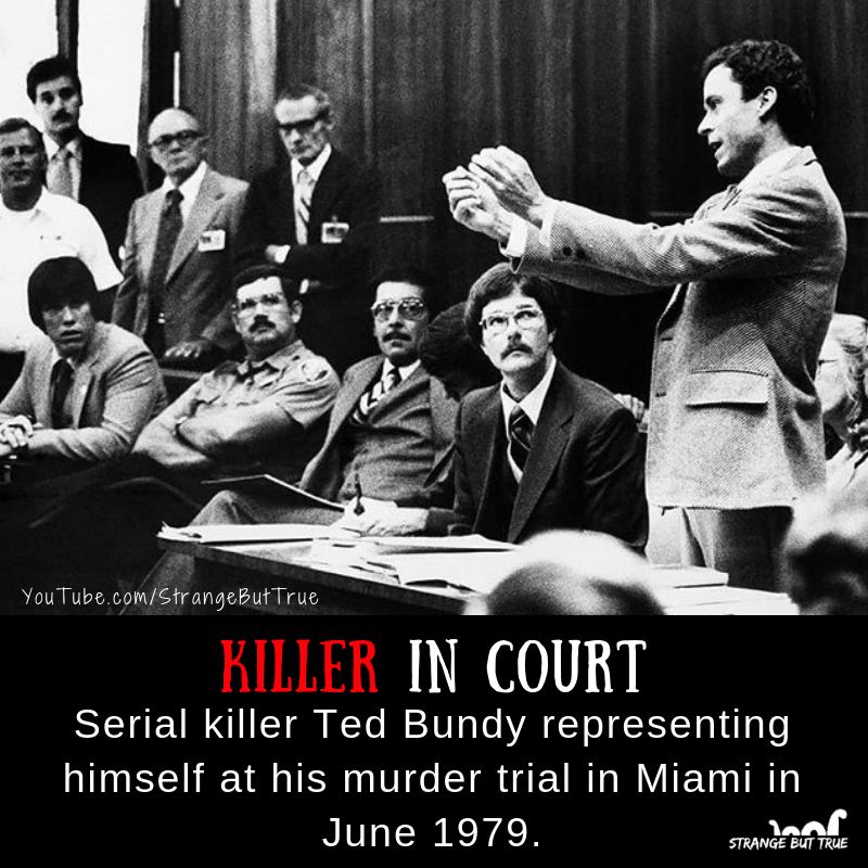 Ted Bundy Representing Himself in Court Scrolller