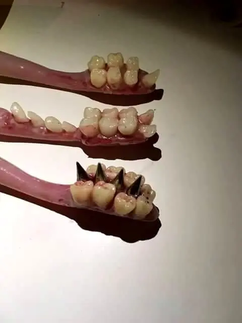 Teeth Brush | Scrolller