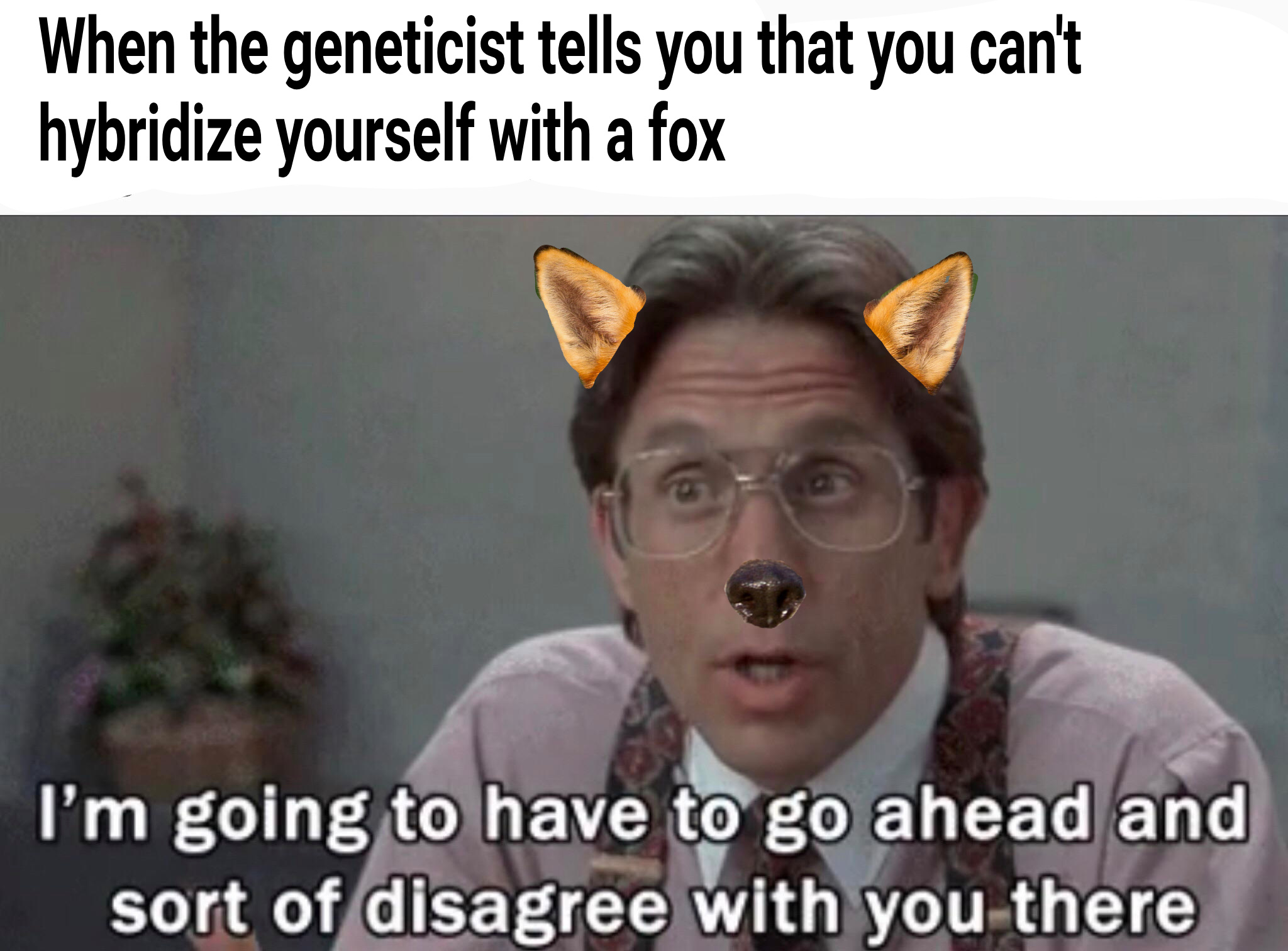 tf🦊irl | Scrolller