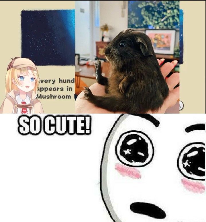 That's the cutest thing I've ever seen | Scrolller