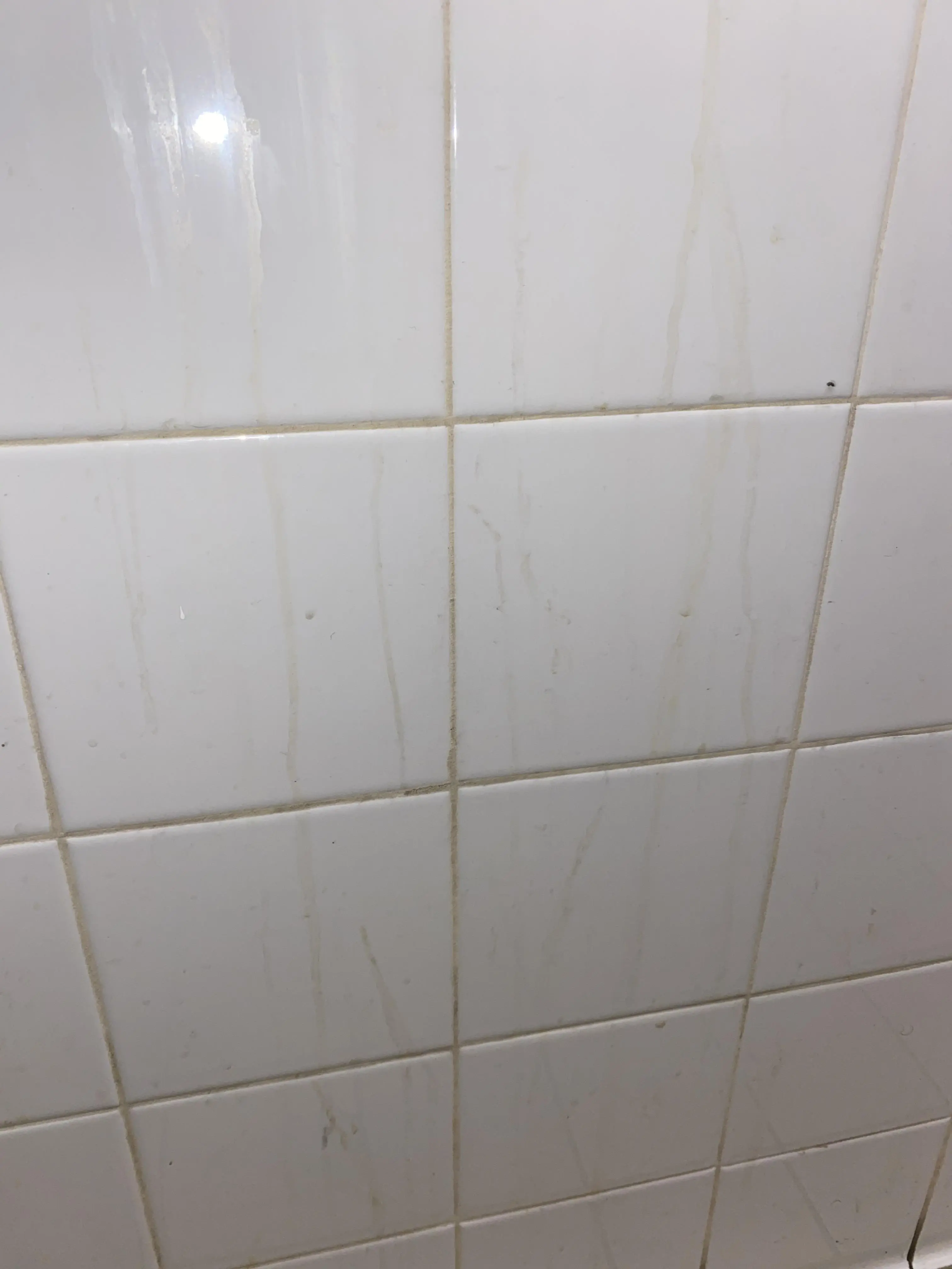 the cum trails at my college cum wall