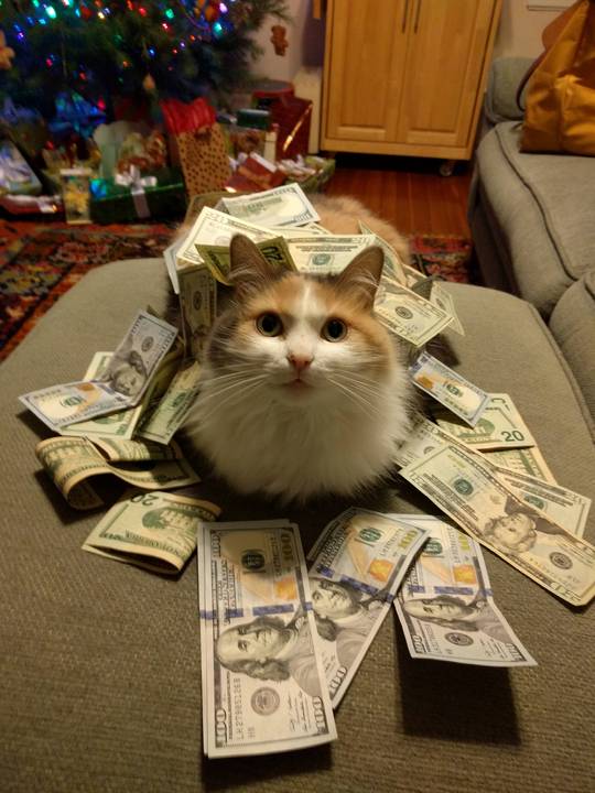 The fluff ain't free.