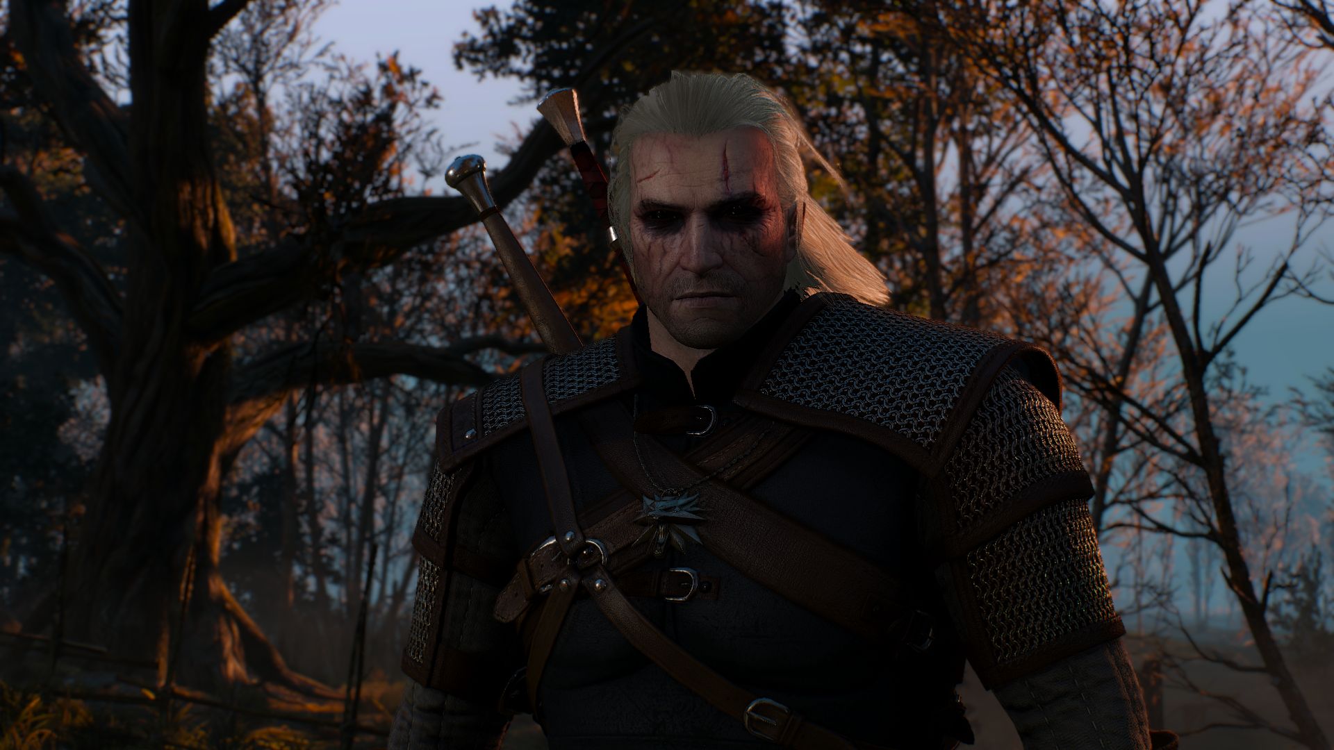 witcher 3 real witcher eyes mod