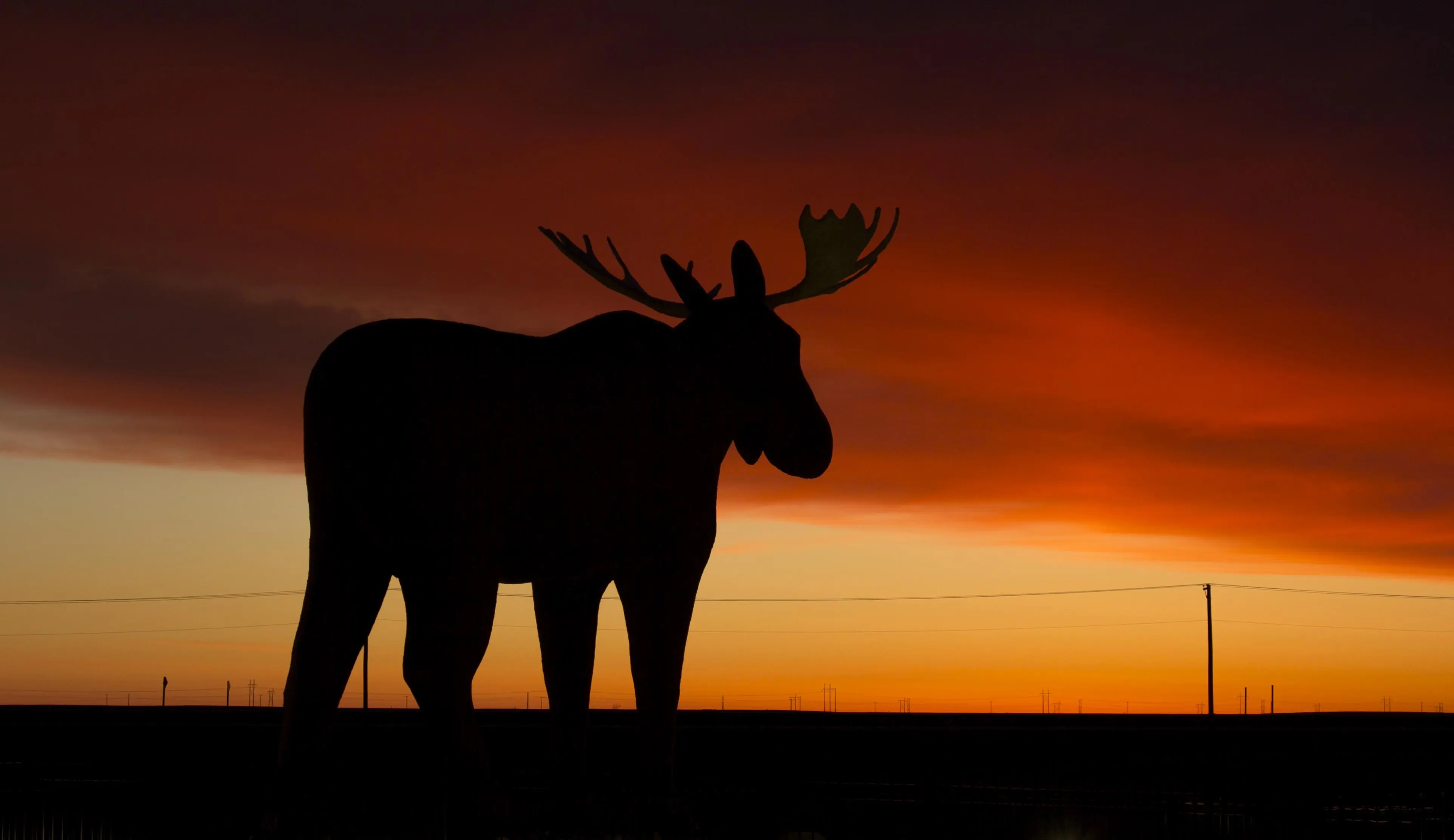 The moose statue in Moosejaw, Saskatchewan | Scrolller