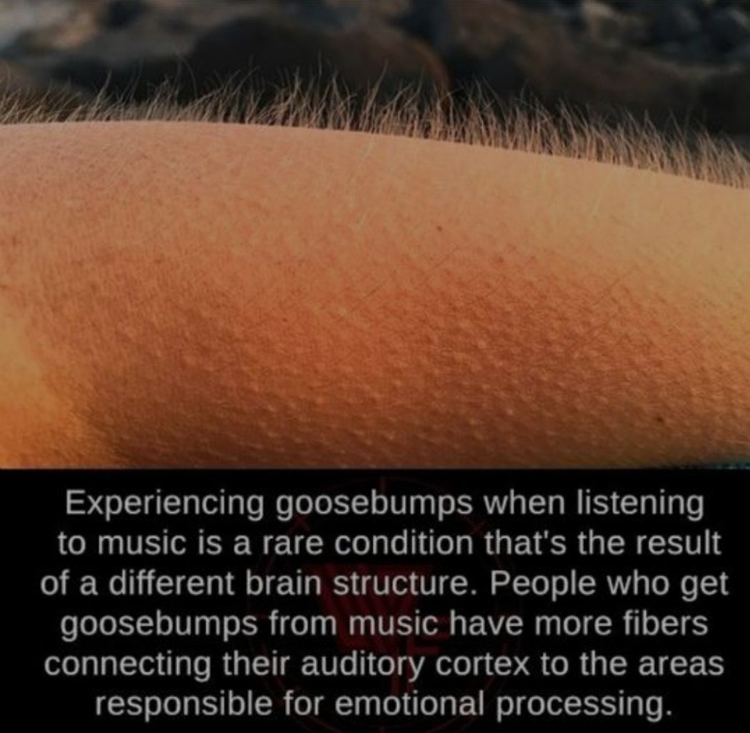 the-reason-people-get-goosebumps-when-listening-to-music-scrolller