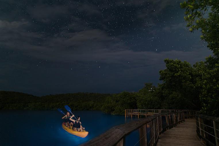 There are 5 Bioluminescent Bays in the world. Luminous Lagoon / Jamaica ...