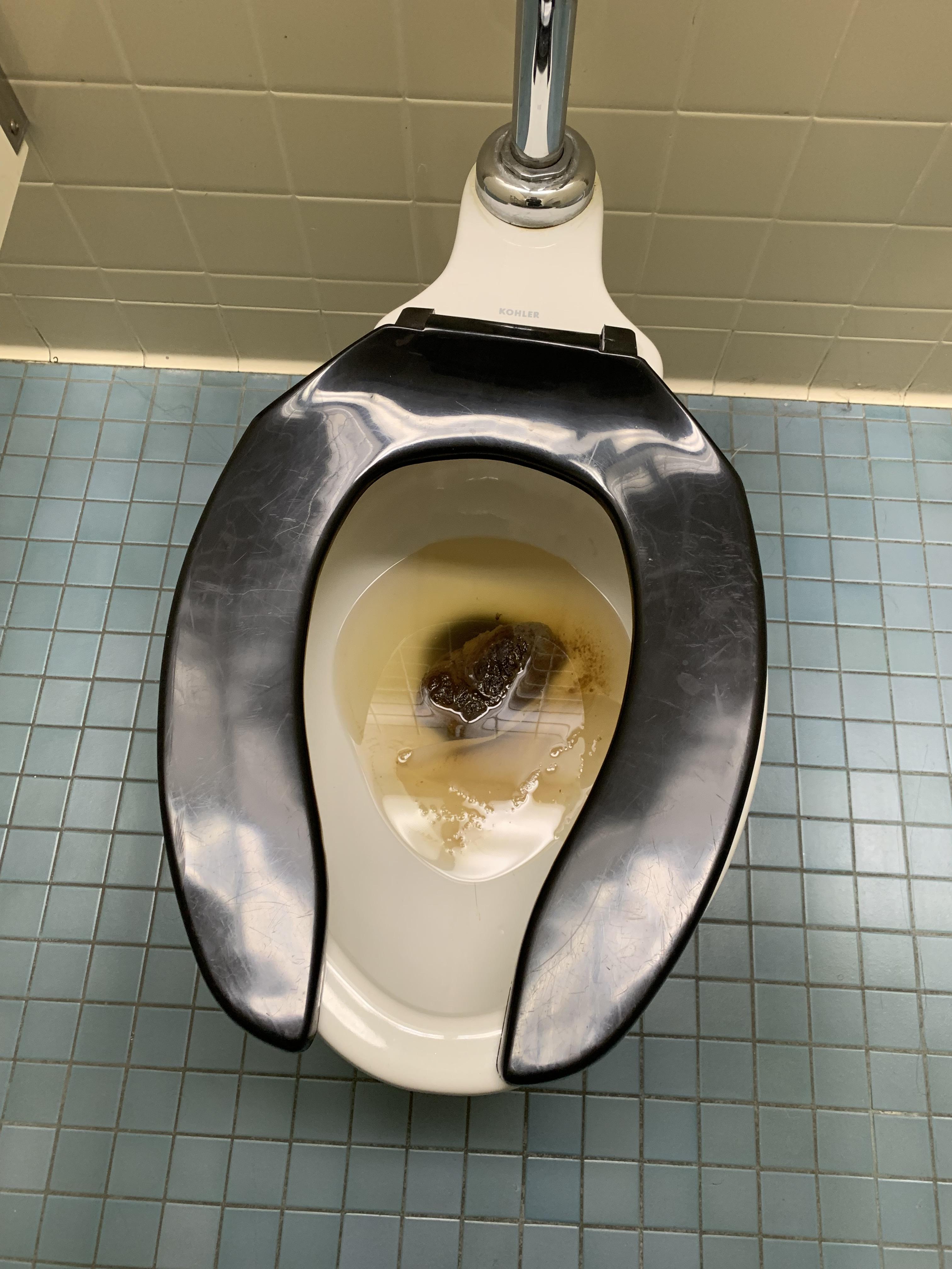 These enormous poops have been appearing in my school bathroom for months... Does anyone know if