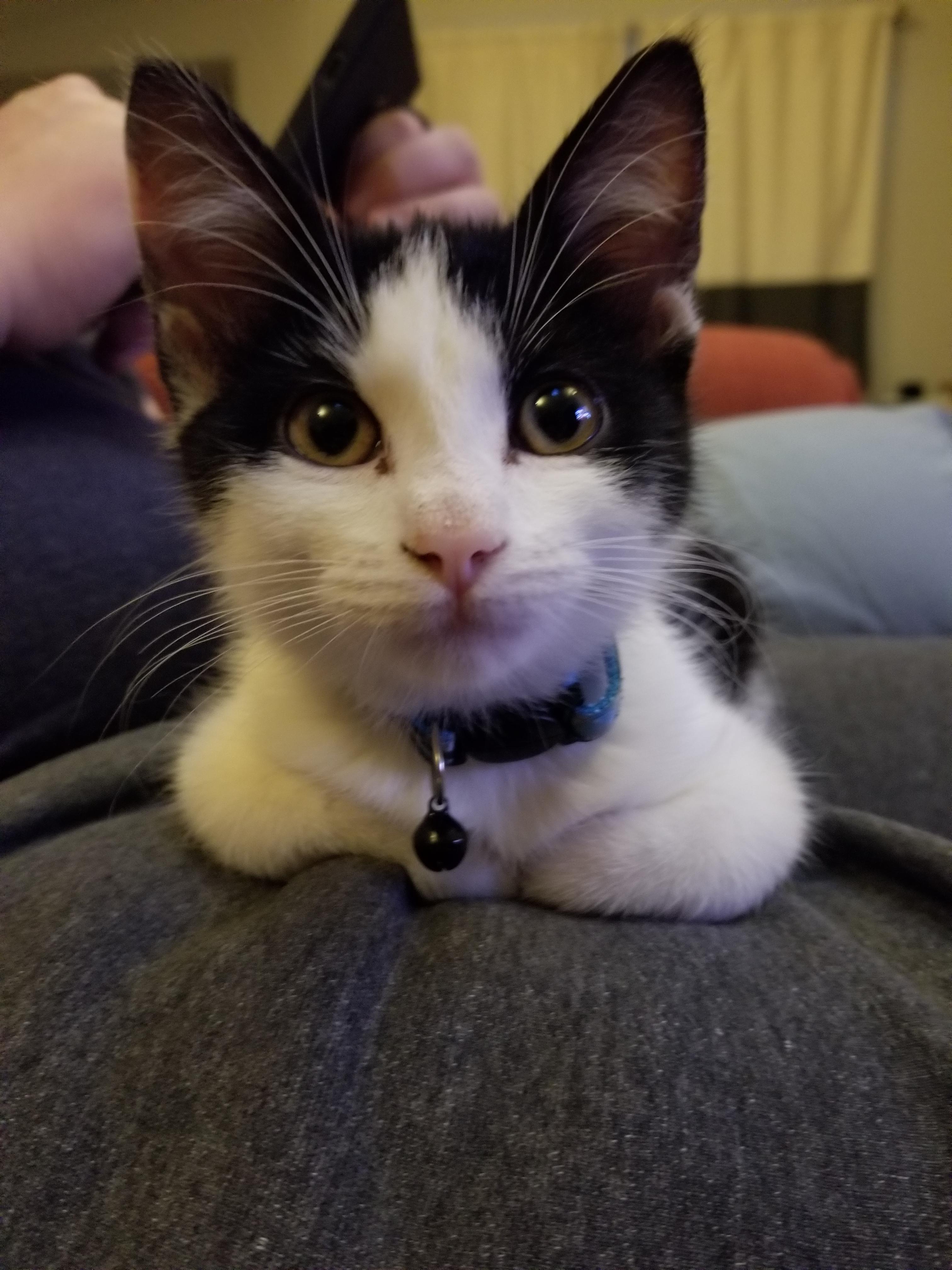 The Ceiling That Fell While the World Slept