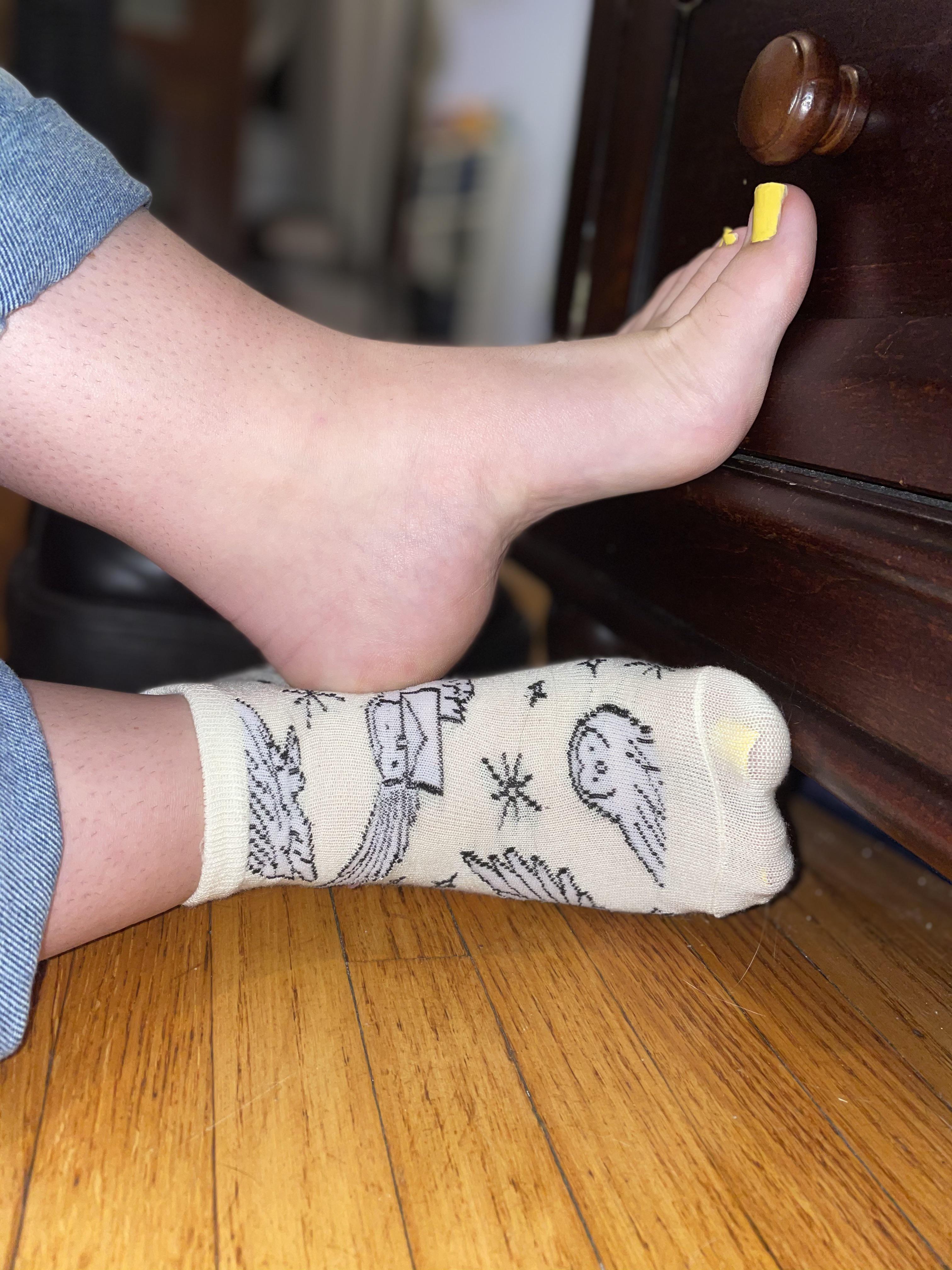 Hogwards & Hedwig Socks