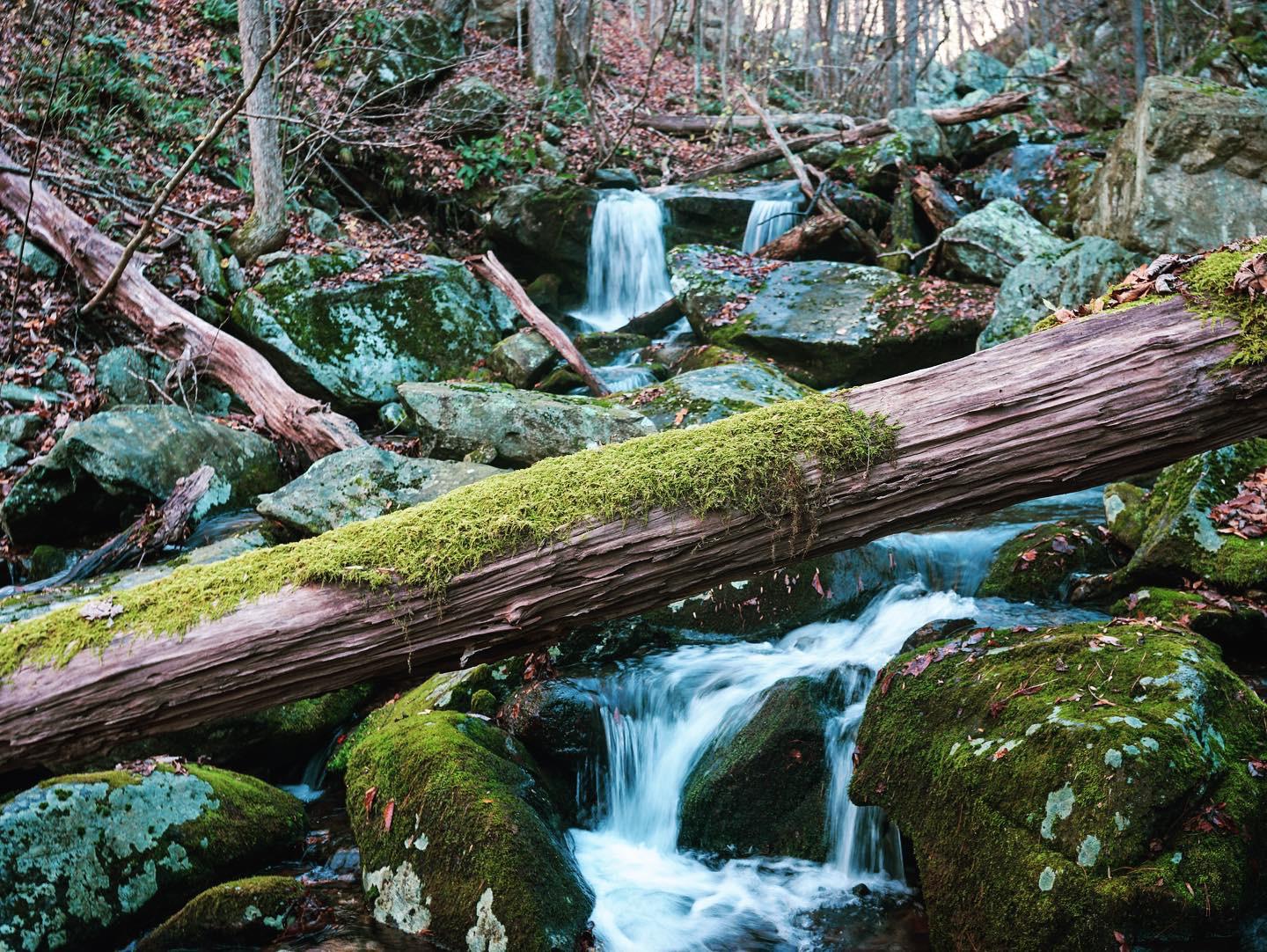 Three Ridges Wilderness, VA - Campbell Creek [5637x3758] | Scrolller