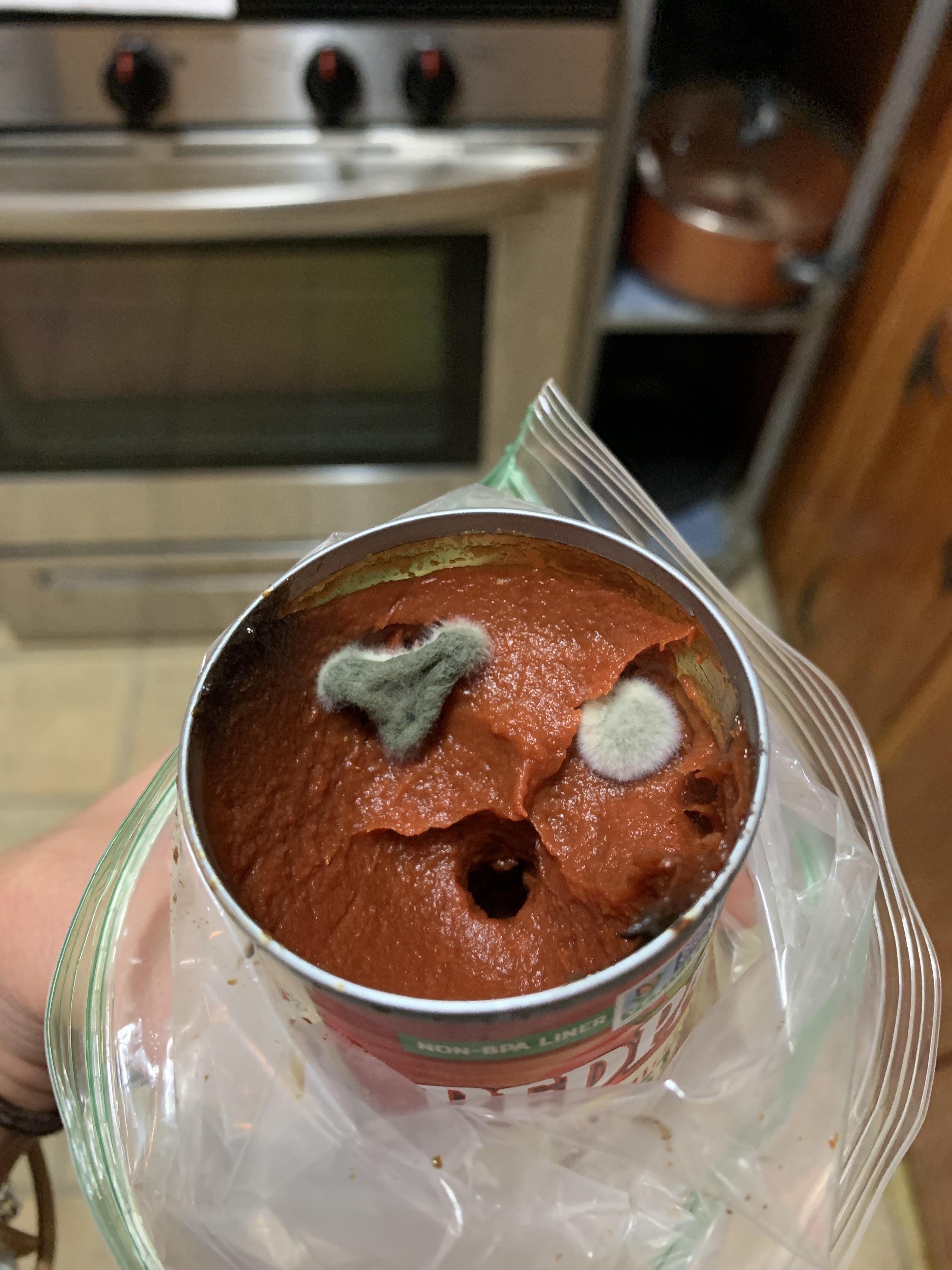 Tomato paste mold went 😮 Scrolller