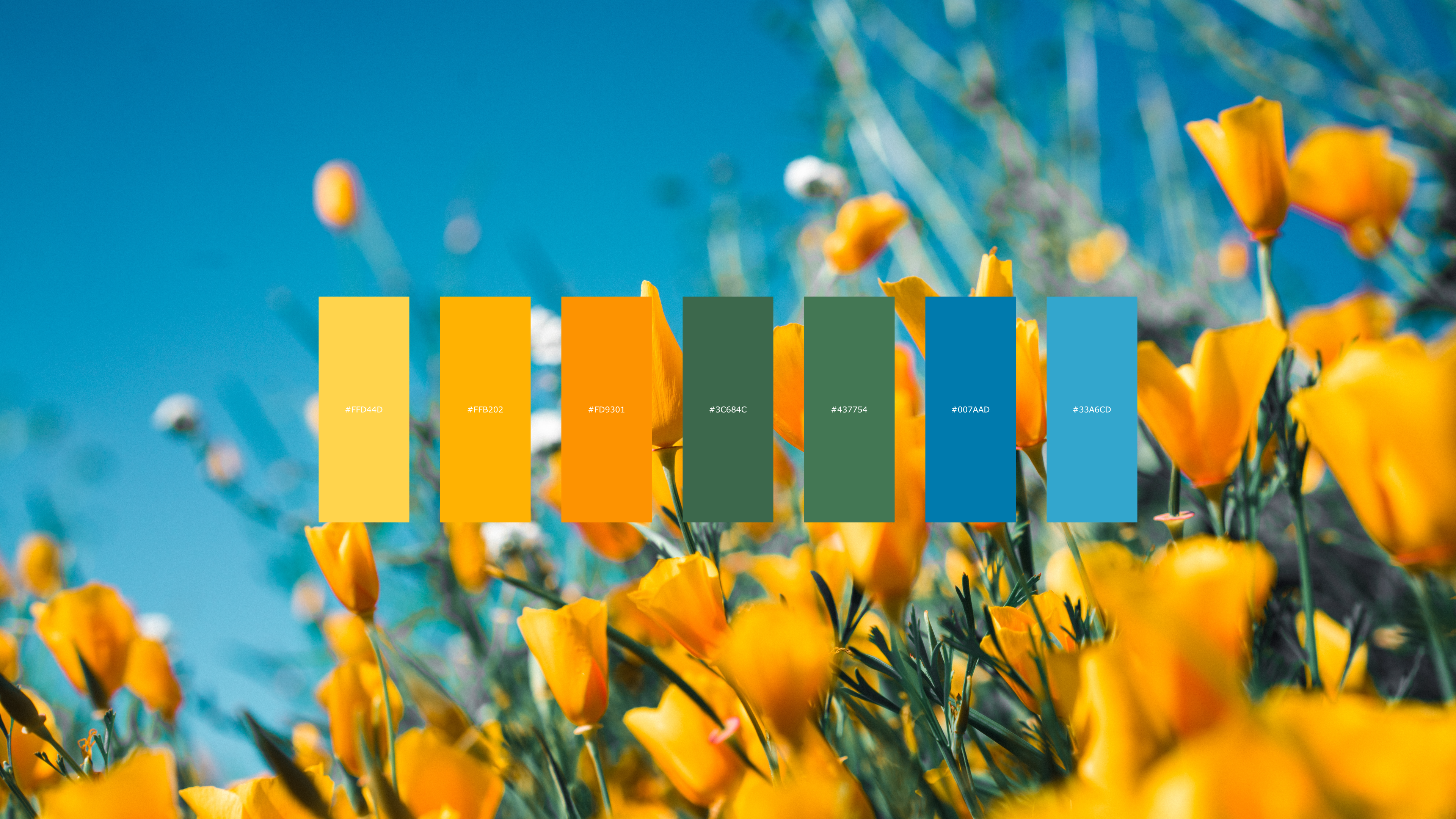 Tulip color palette [3840X2160] | Scrolller